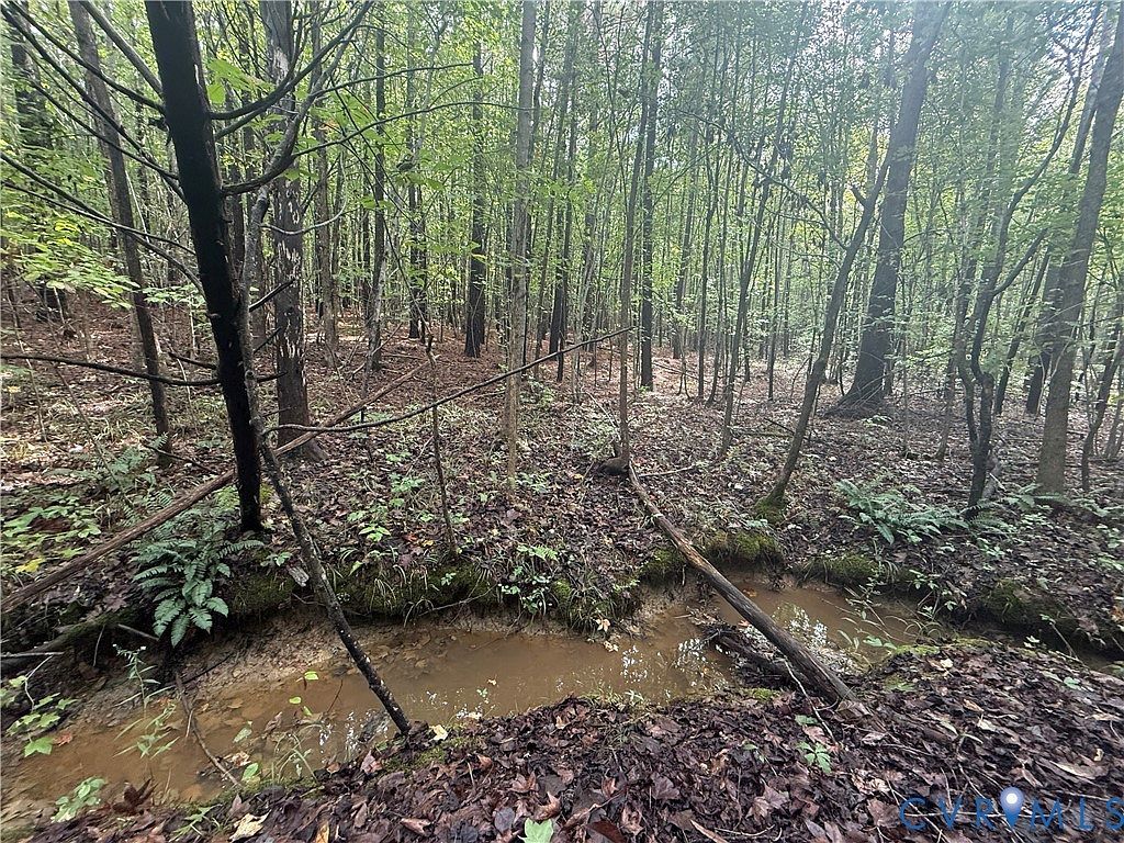 13.52 Westpoint Stevens Rd LOT 10 Drakes Branch, VA 23937  | Land/Lot