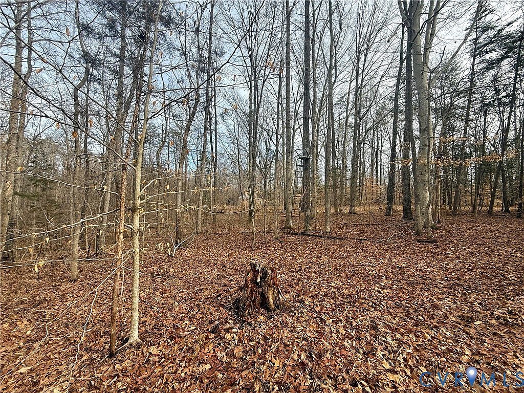 62 Willis Bluff Ln Cumberland, VA 23040  | Land/Lot