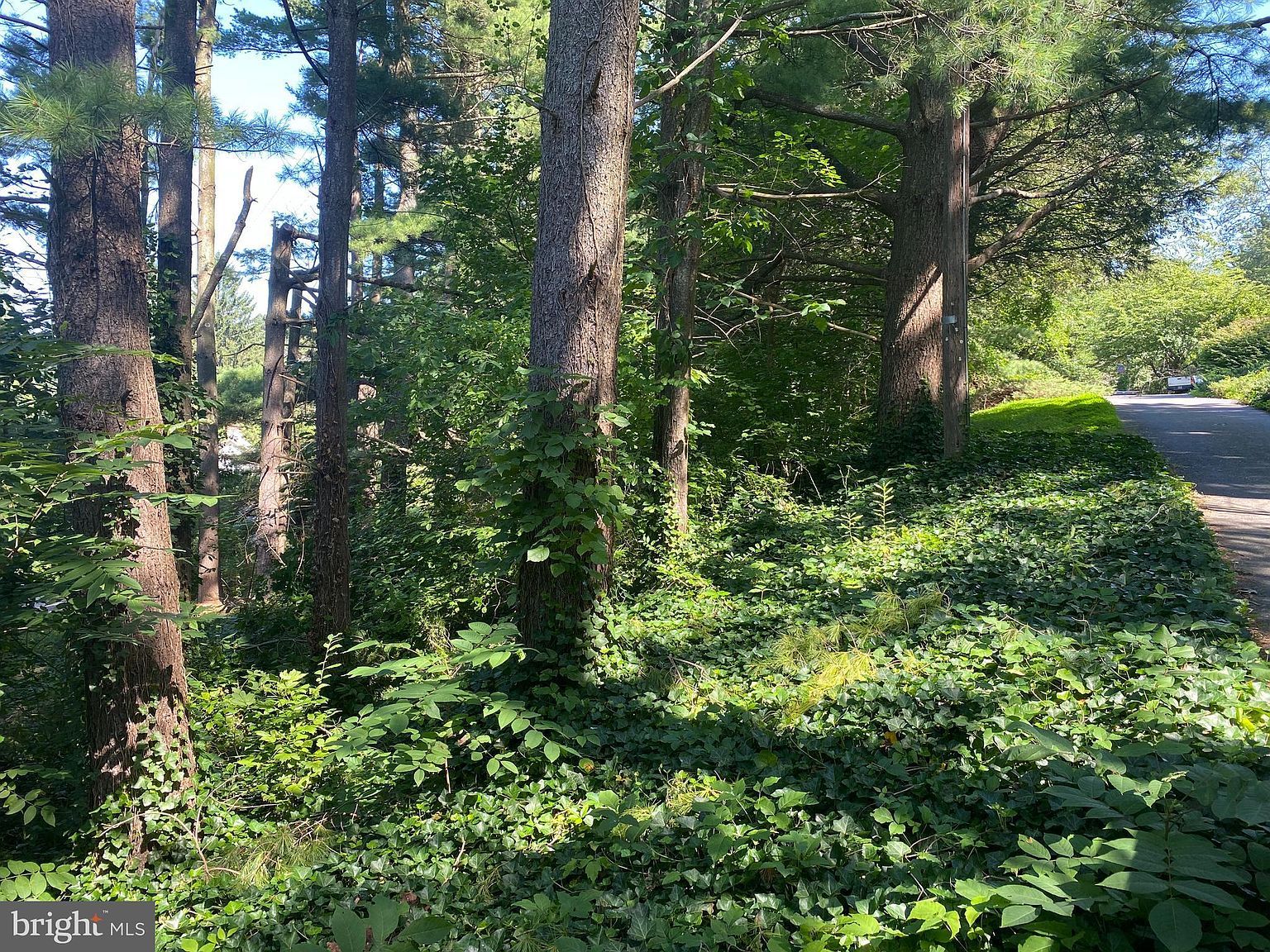 Coon Club Rd Hampstead, MD 21074  | Land/Lot