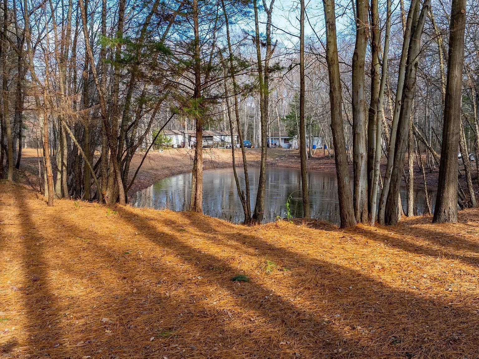 622 Henry Cowgill Rd Camden Wyoming, DE 19934 | New build