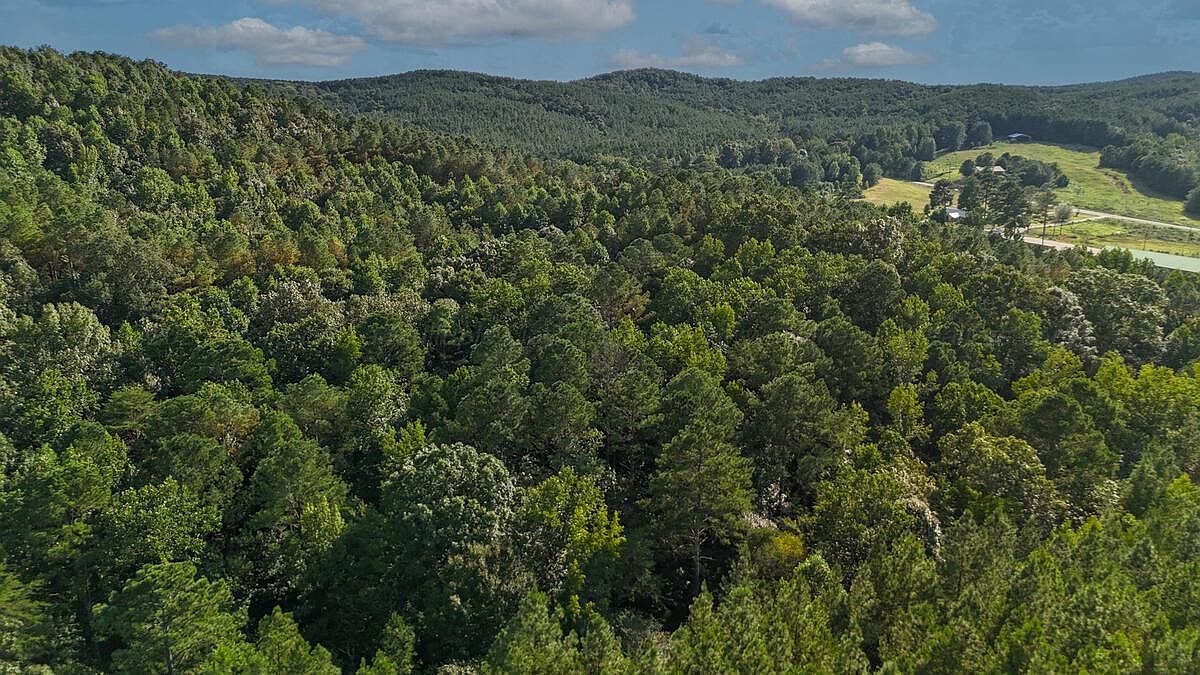 County Road 63 N Carbon Hill, AL 35549  | Land/Lot