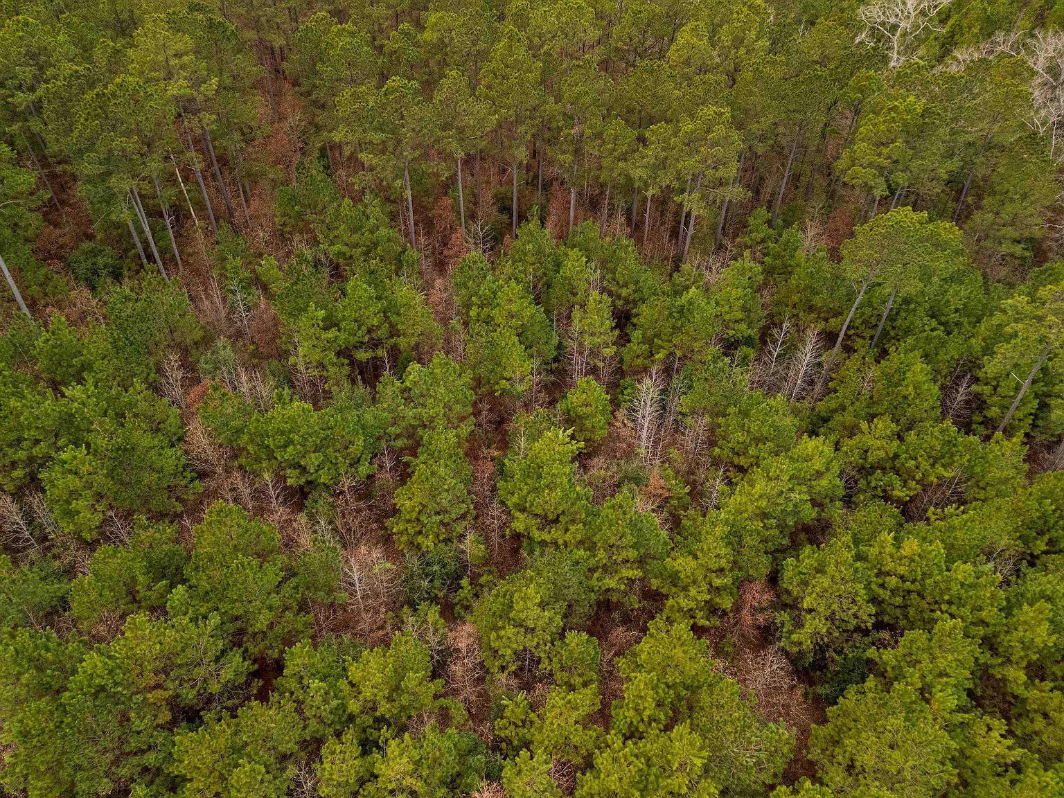 Liberty Rd Jefferson, TX 75657  | Land/Lot