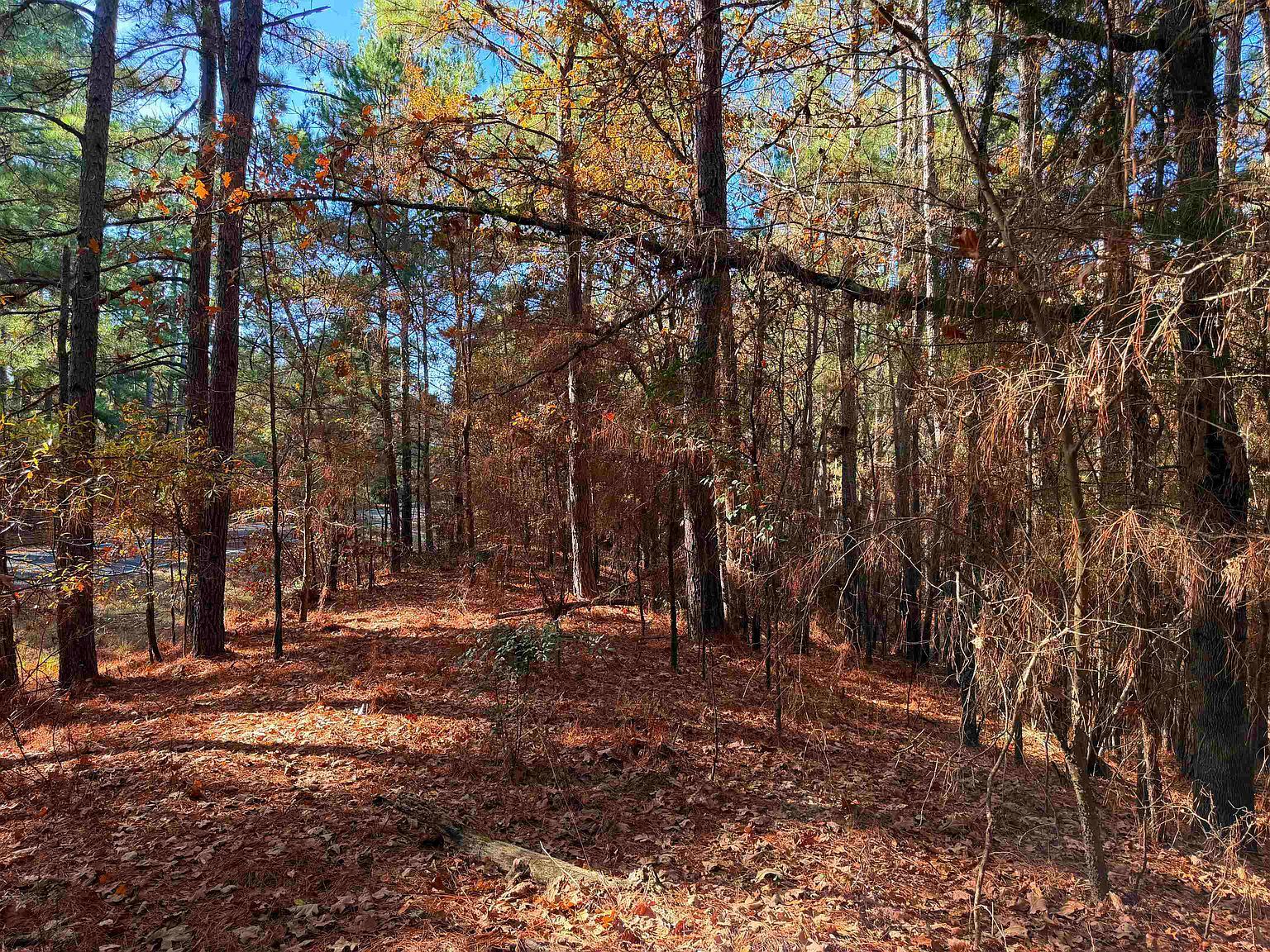 Fm 726 #3 Jefferson, TX 75657  | Land/Lot