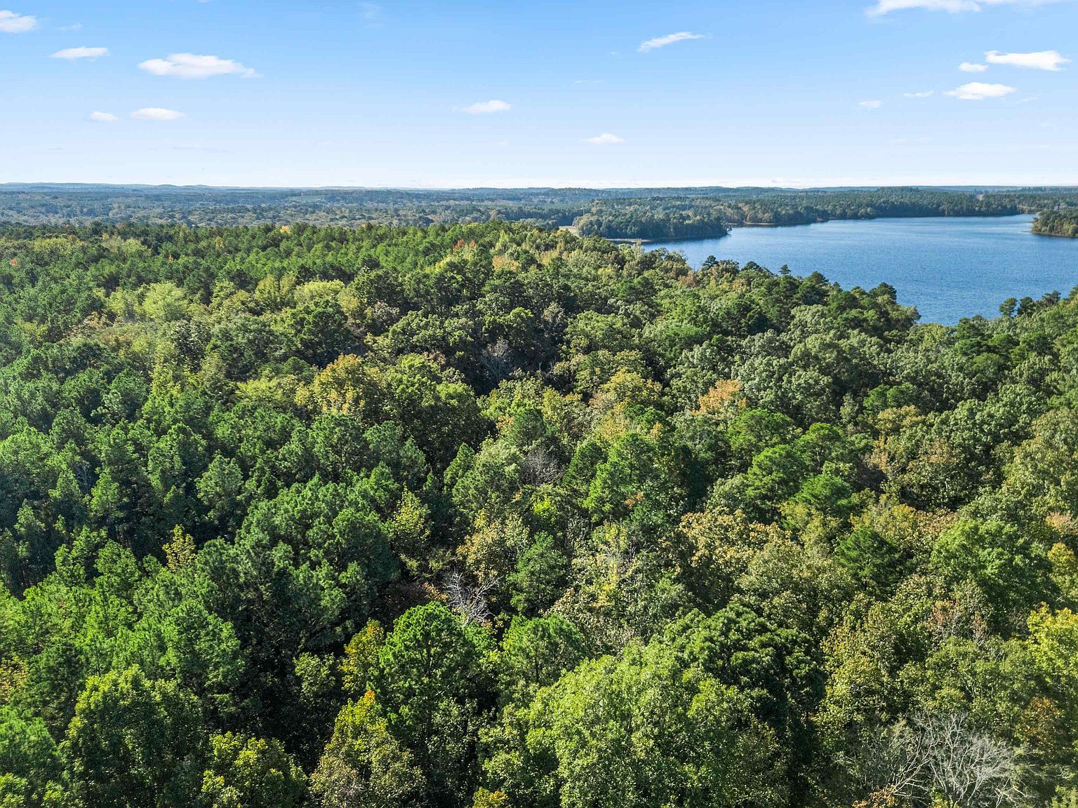 1512 Victory School Rd Avinger, TX 75630  | Land/Lot