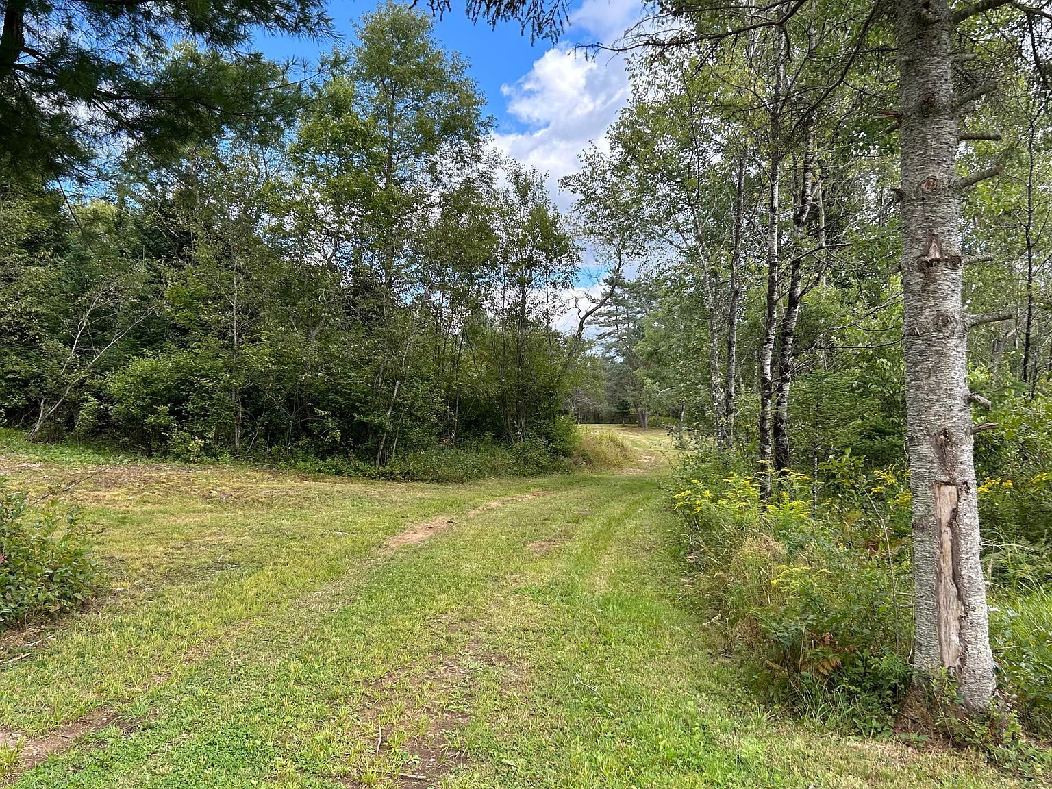 1406 Gray Wilmurt Rd Cold Brook, NY 13324  | Single Family