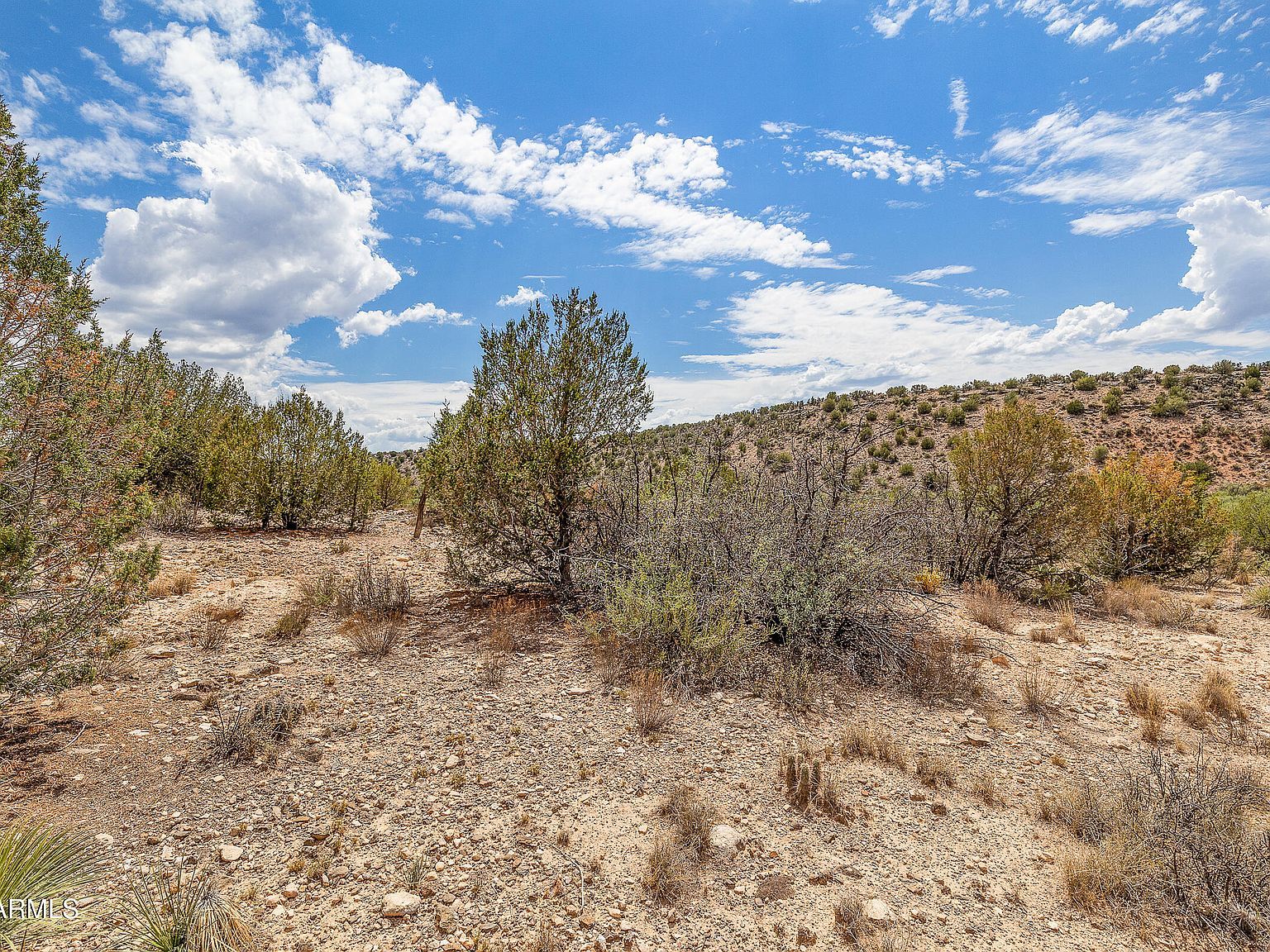 4335 E Coyote Cyn Rimrock, AZ 86335  | Land/Lot