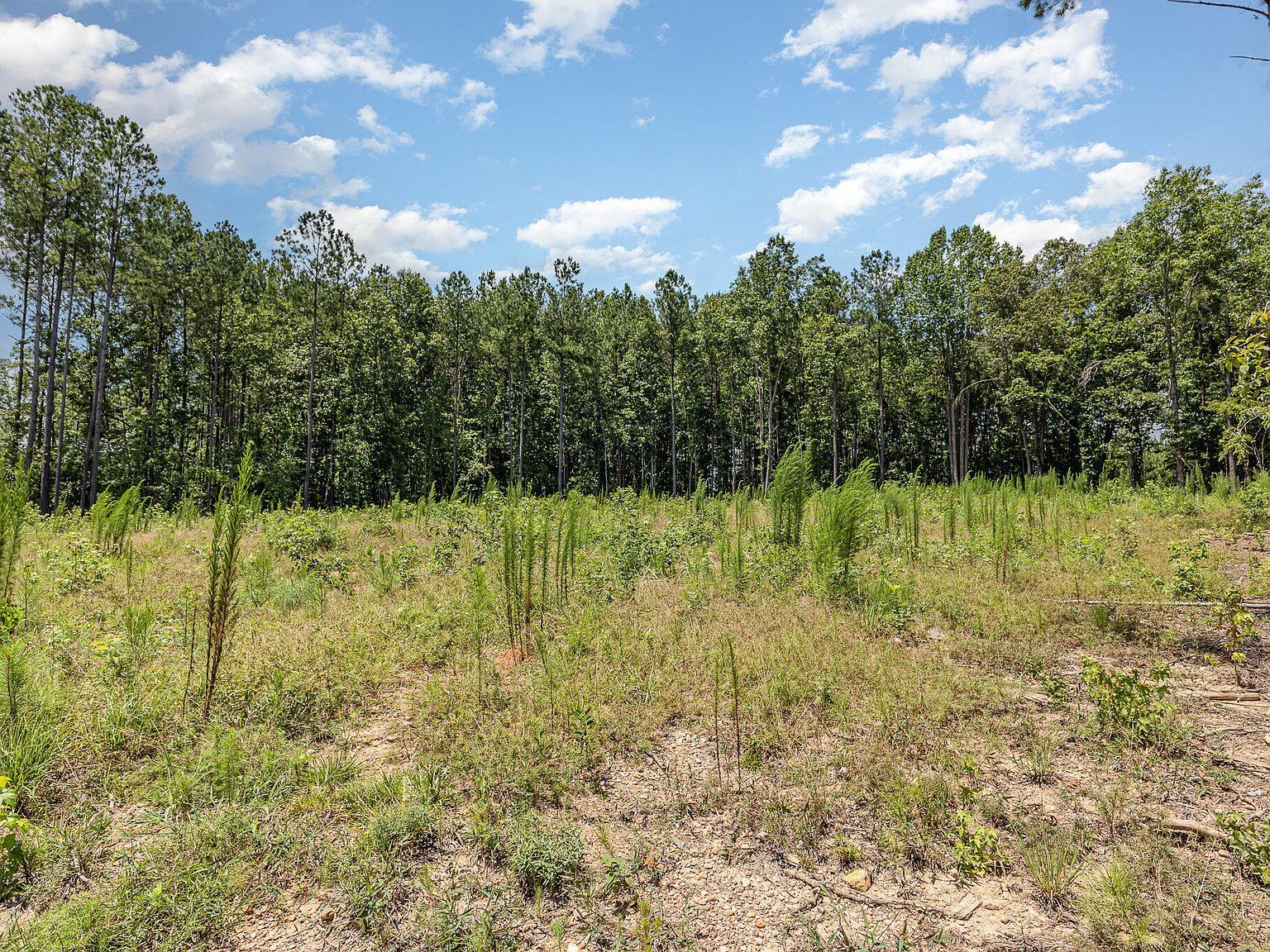 230 Bealy Farm Rd #2 Zebulon, NC 27597  | Land/Lot