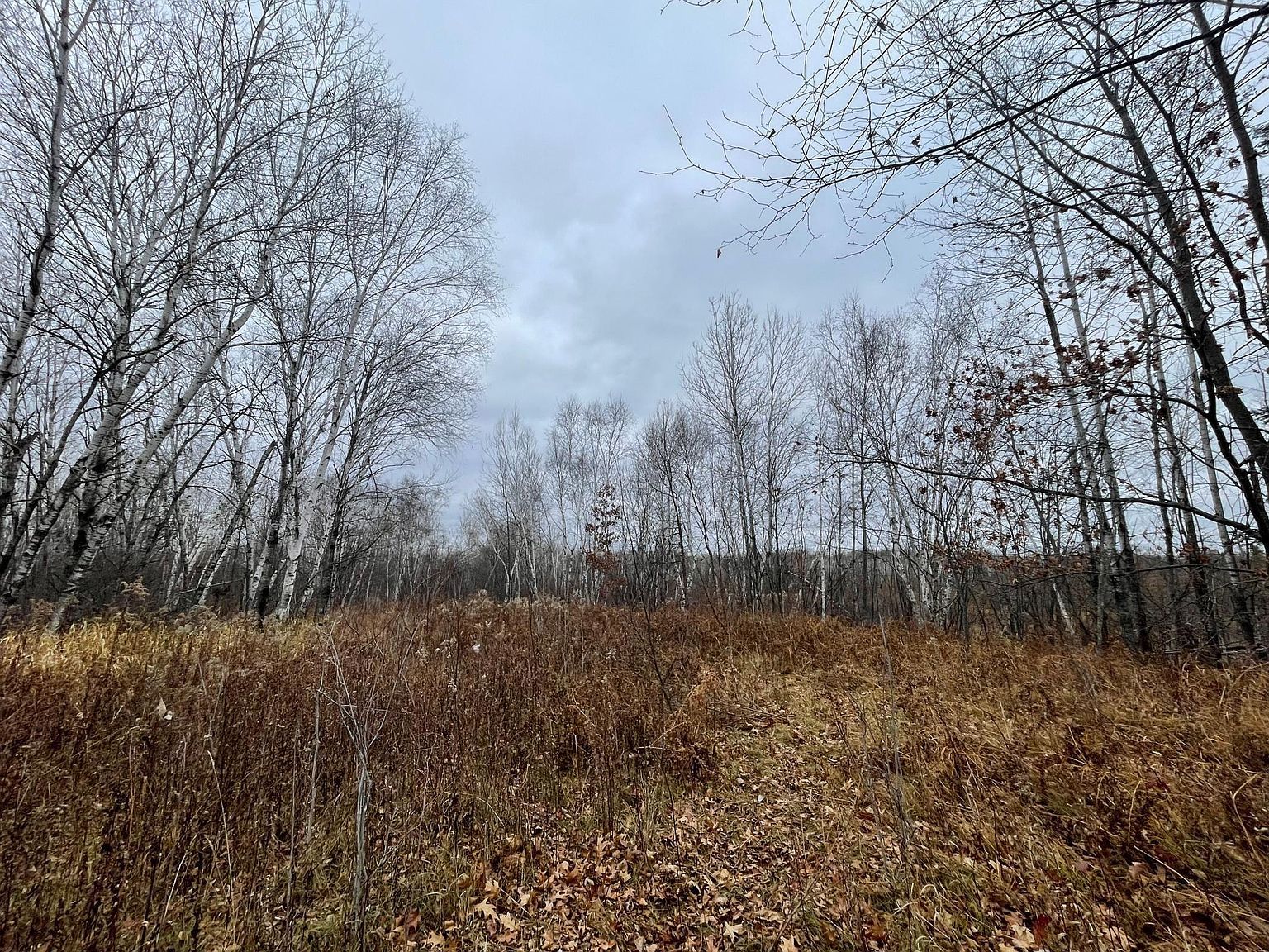 PARCEL Olson Rd #C Hinckley, MN 55037  | Land/Lot