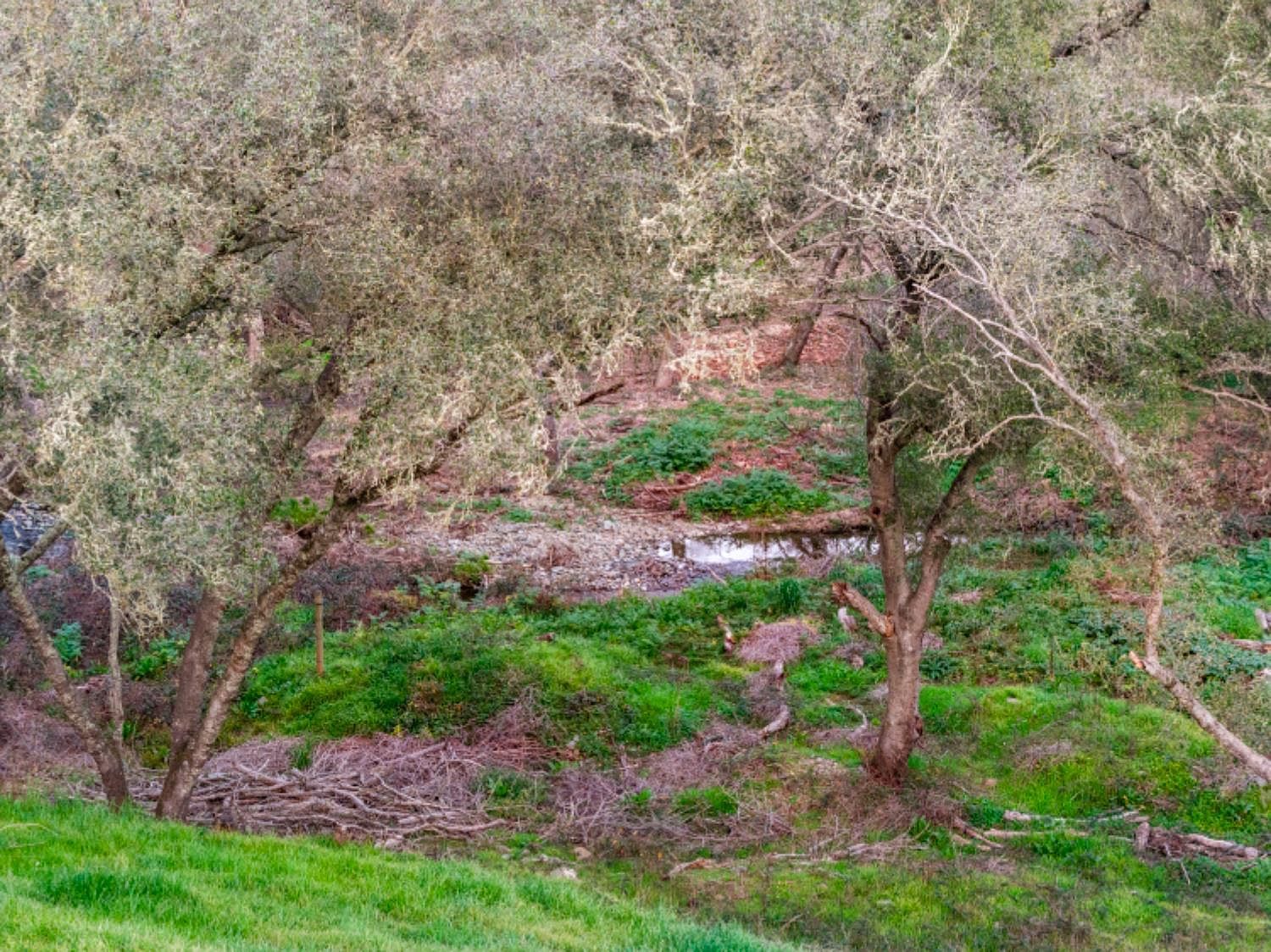 1201 Lomond Dr El Dorado Hills, CA 95762  | Land/Lot