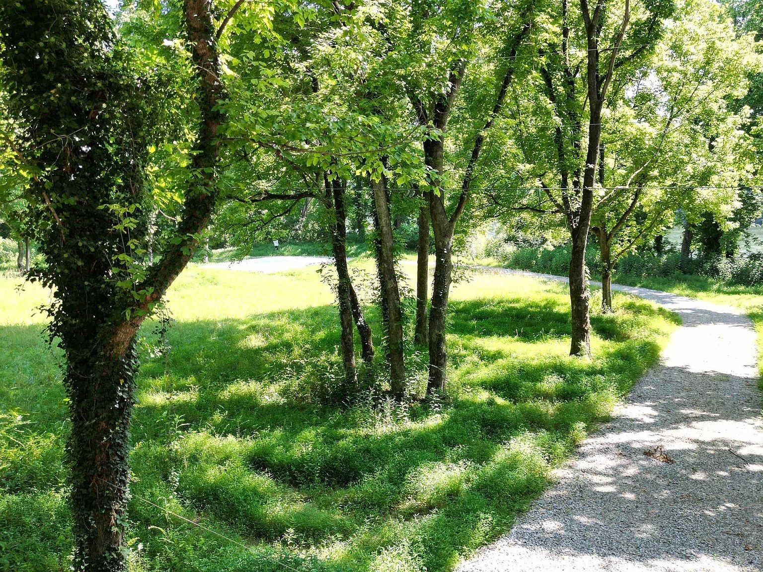 1566 Riverview Dr Norfork, AR 72658  | Land/Lot