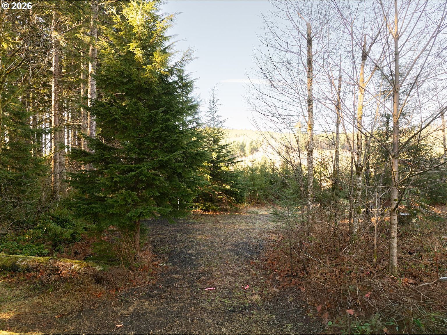 43902 NE Columbia Tie Rd Amboy, WA 98601 | New build