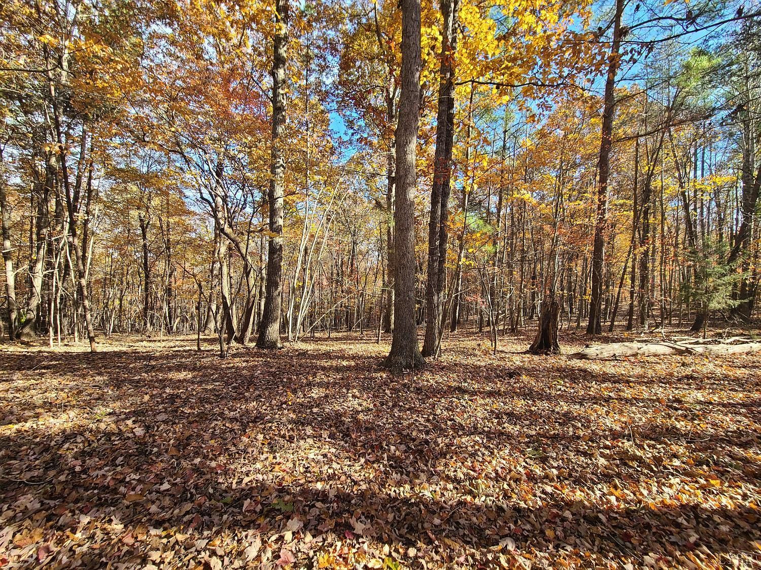 0 Ashwell Ridge Dr LOT 29 Huddleston, VA 24104  | Land/Lot