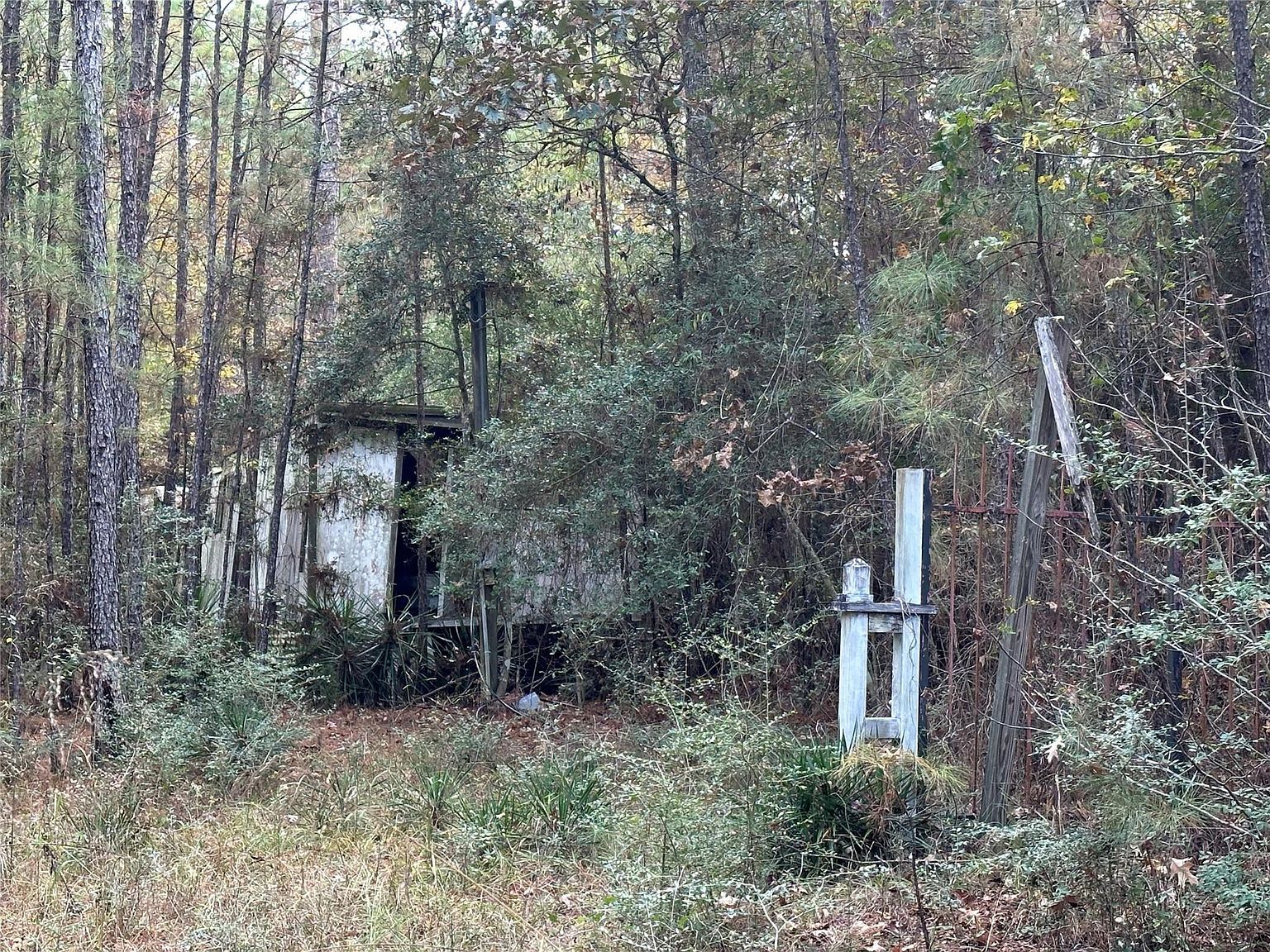 186 Rosanky Leggett, TX 77351  | Land/Lot