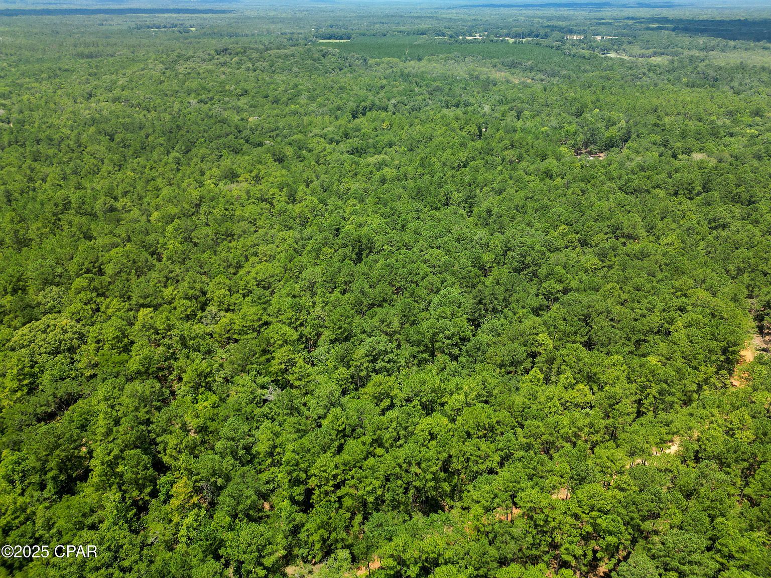 Creek Run Rd Vernon, FL 32462  | Land/Lot