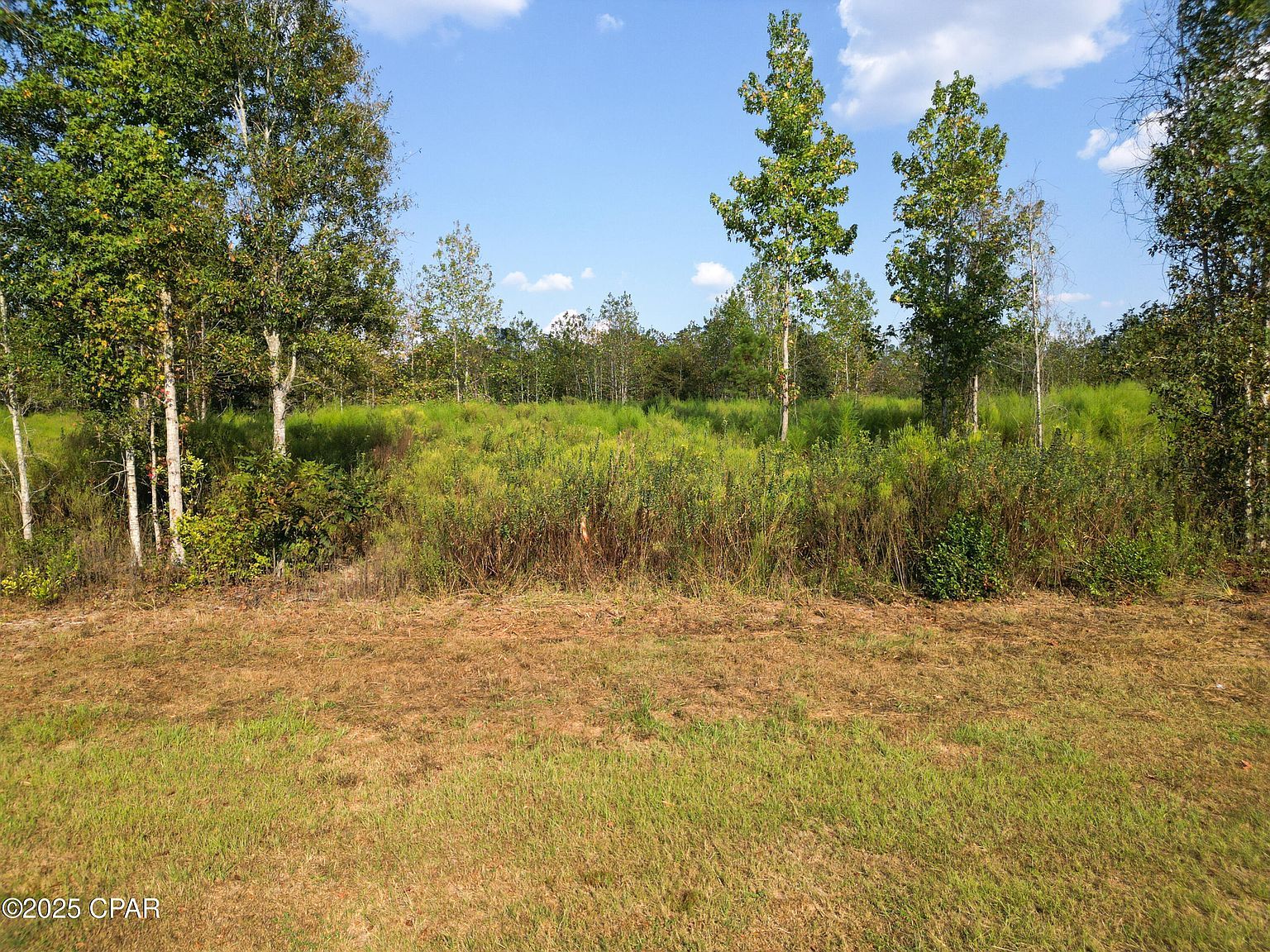PARCEL 3 1st Ave Graceville, FL 32440  | Land/Lot
