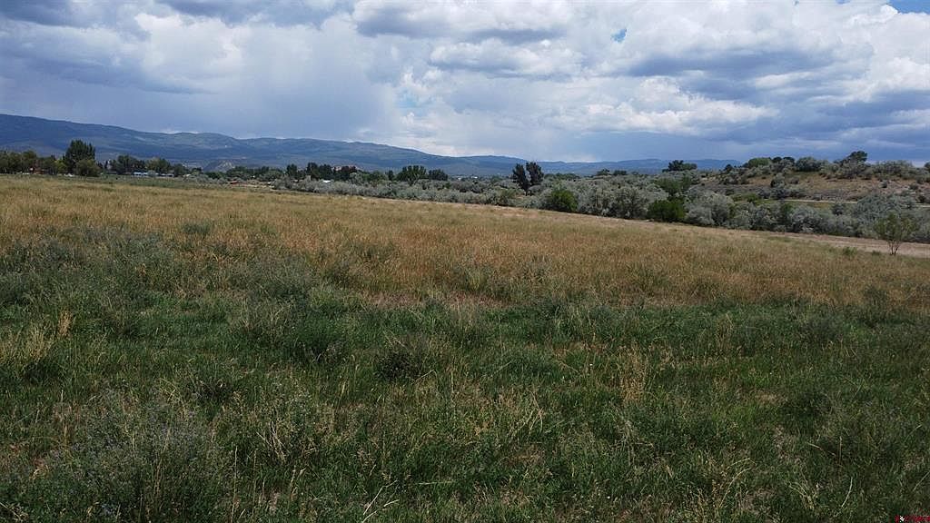 Tbd Bull Mesa Rd Cedaredge, CO 81413  | Land/Lot