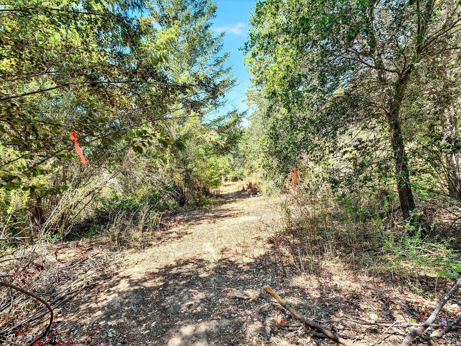 13353 Pocket Canyon Rd Guerneville, CA 95446  | Land/Lot