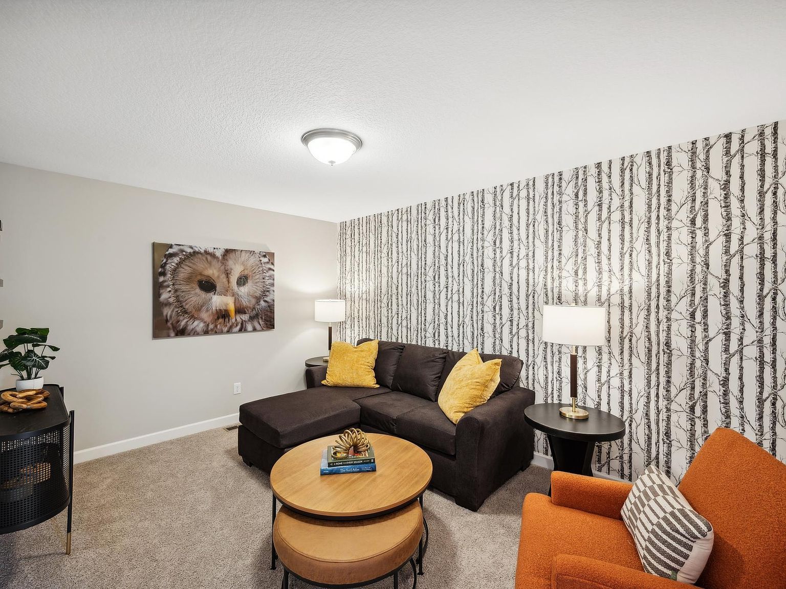 25559 3rd St W Zimmerman, MN 55398 | New build