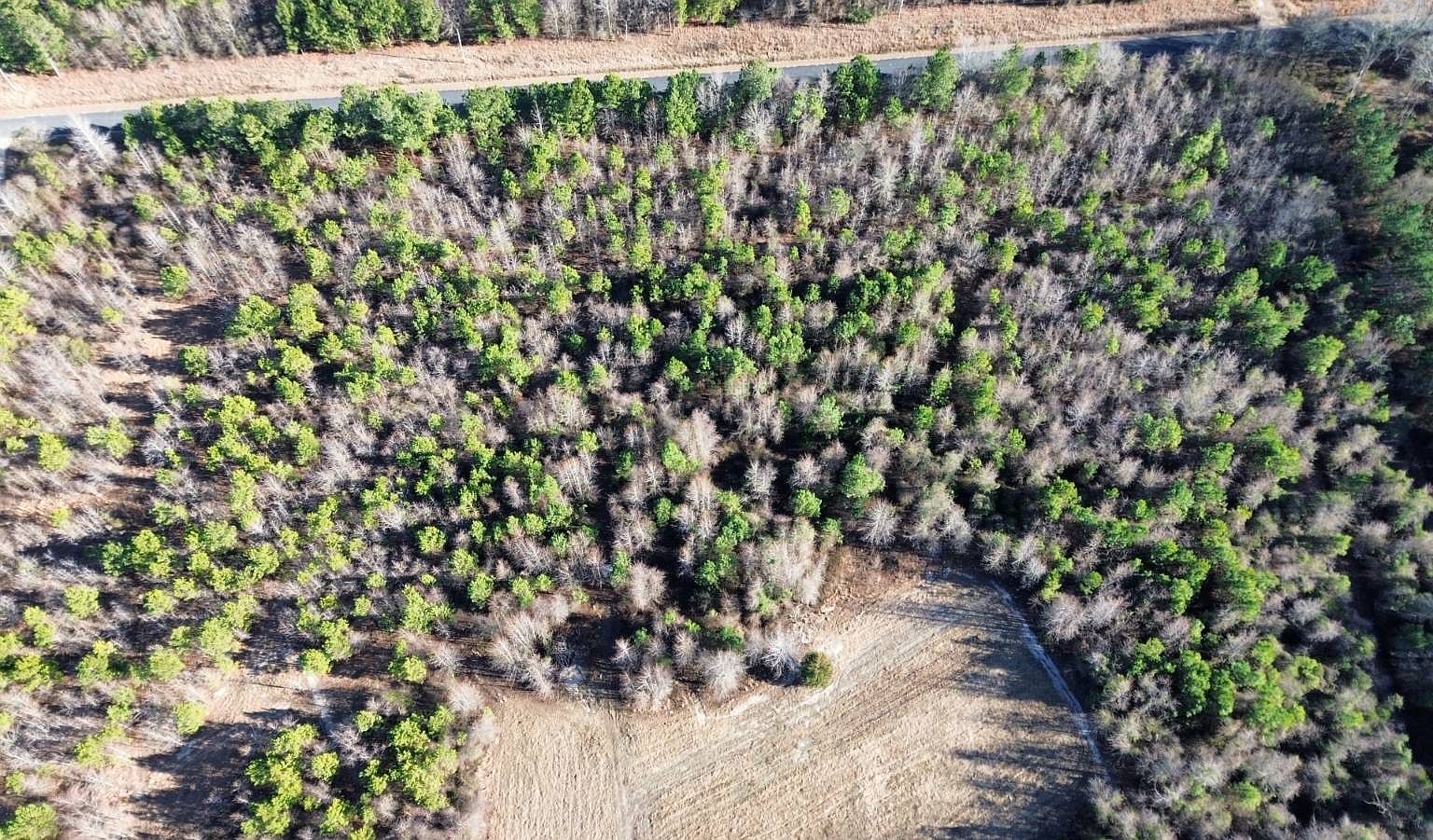 550 Deer Ln Bennettsville, SC 29512  | Land/Lot