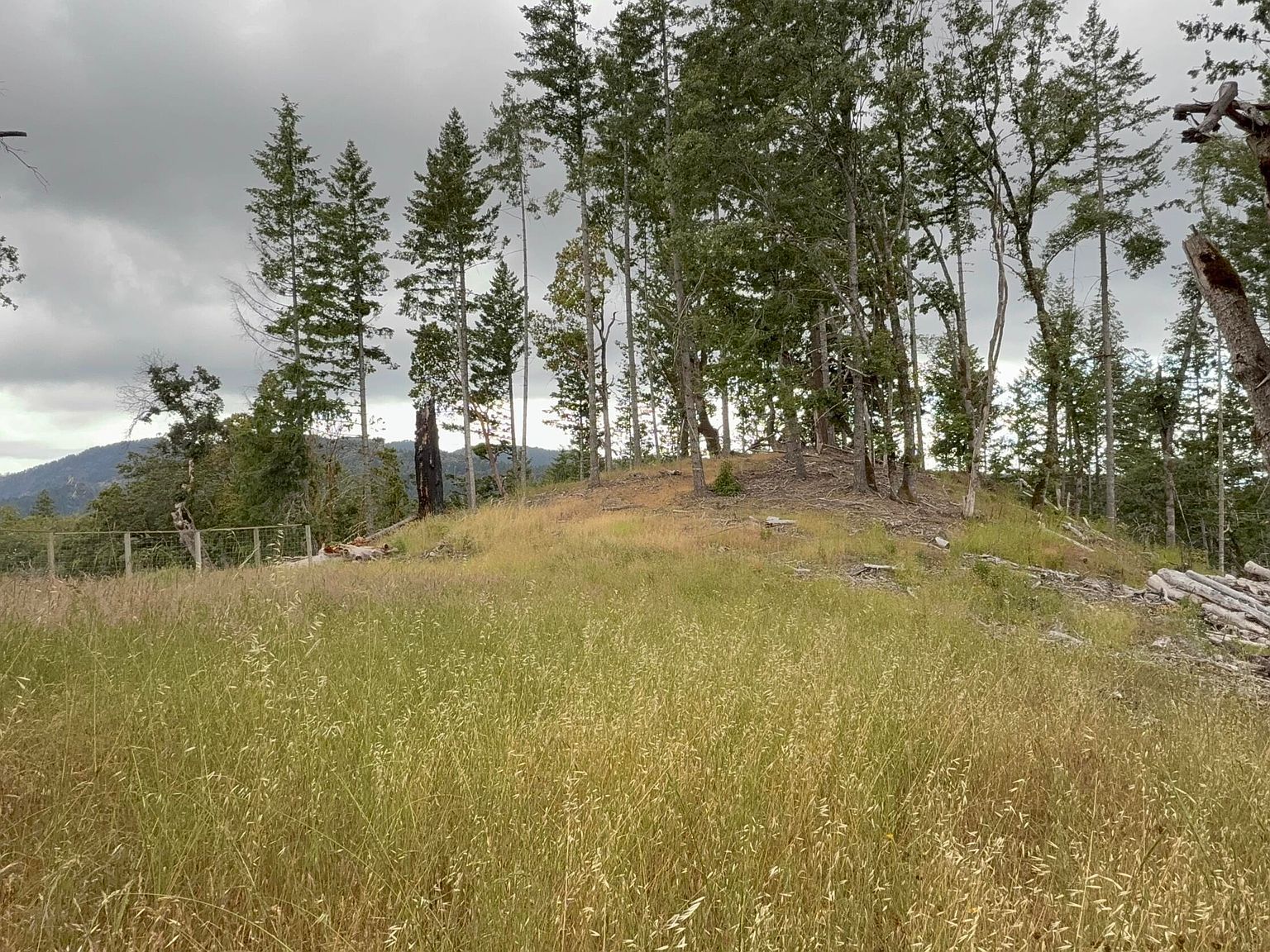 33000 State Highway 36 Bridgeville, CA 95526 | Land/Lot