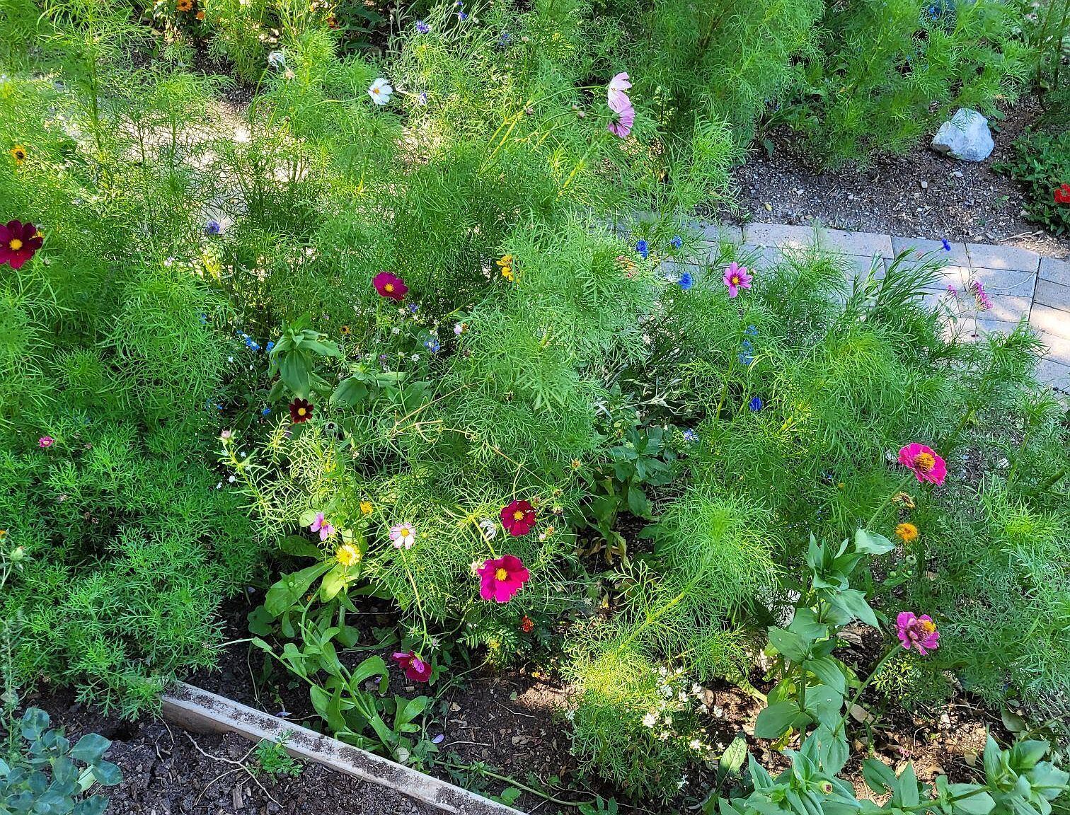 1603 S Campground Rd SPACE 97 Beaver, UT 84713 | New build