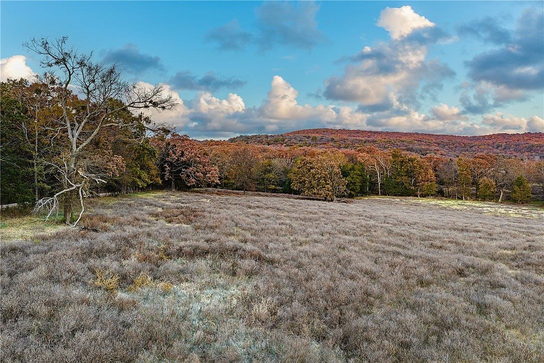 19137 Vineyard Rd Canehill, AR 72717  | Land/Lot