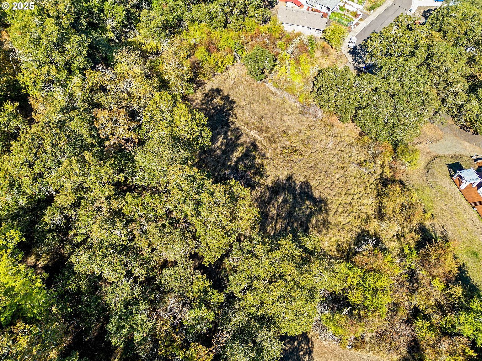 498 SE Dos Gatos Ct Roseburg, OR 97470  | Land/Lot