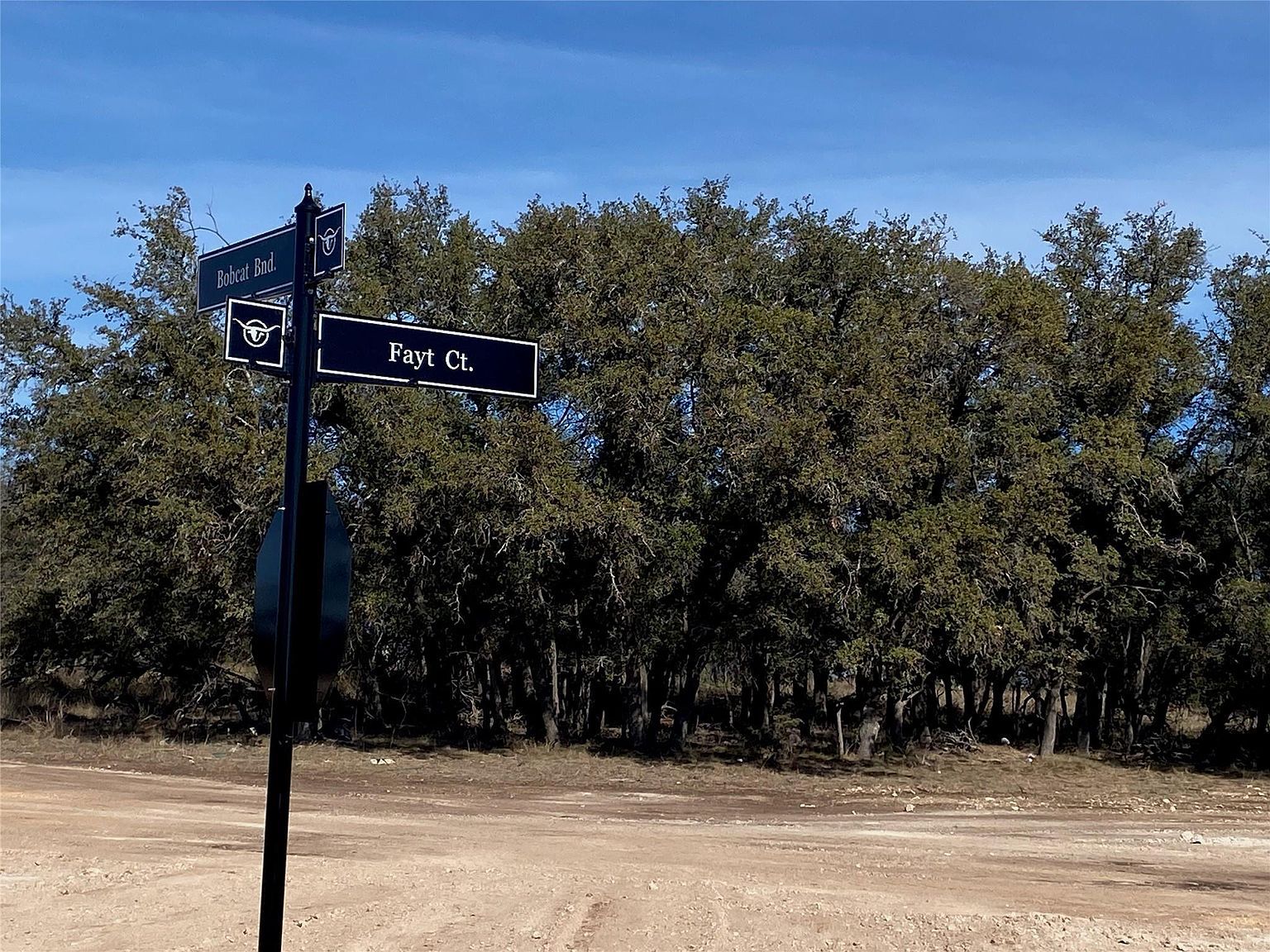 Fayt Ct Georgetown, TX 78628  | Land/Lot