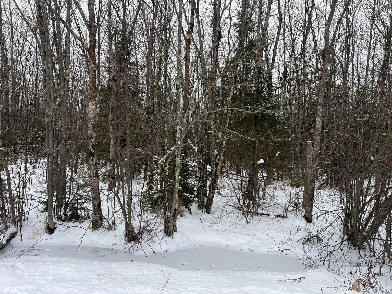 LOT On Worsech Rd Catawba, WI 54515 | Land/Lot