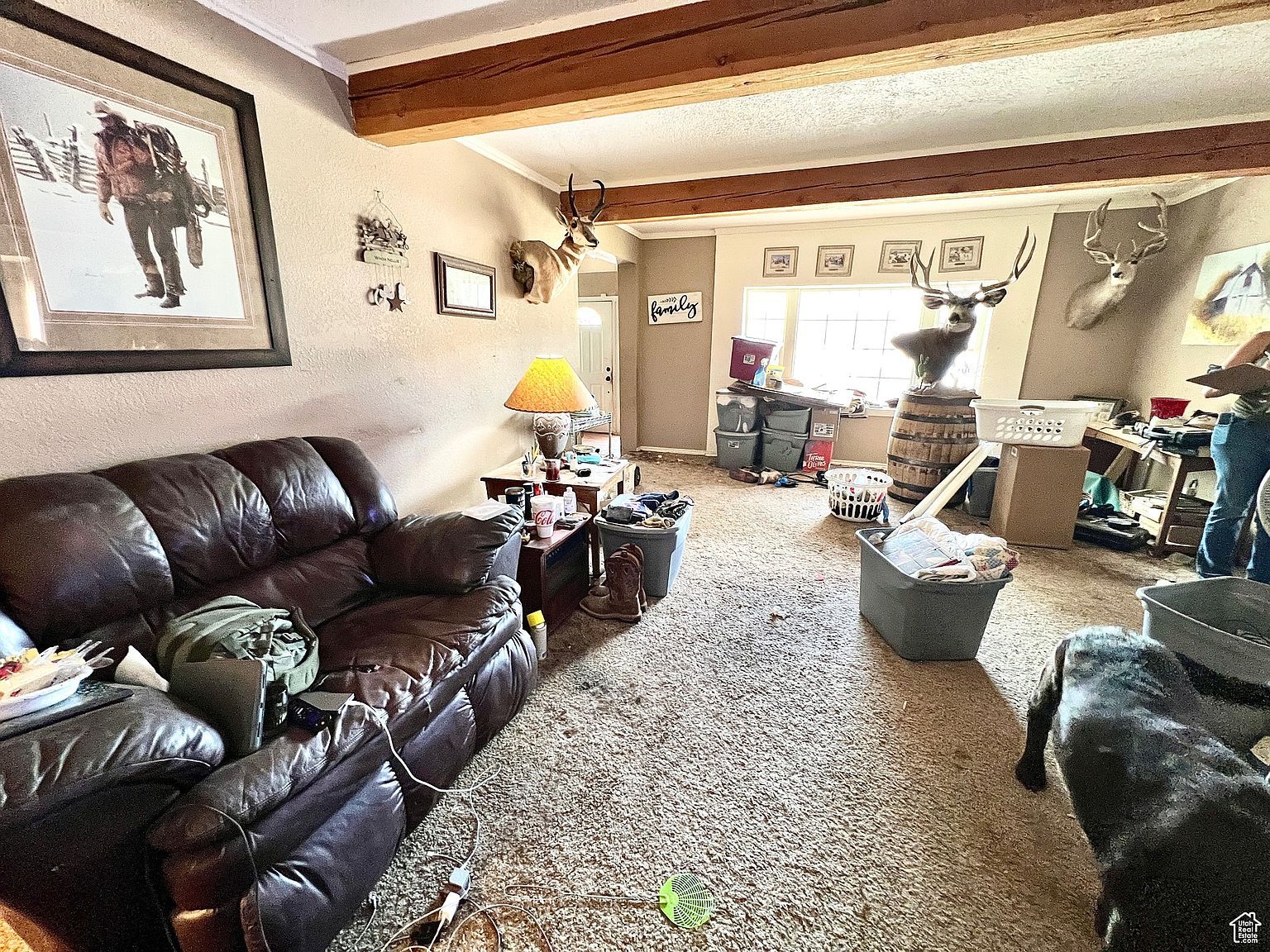 81 Sandy Ln Terra, UT 84022 | Single Family