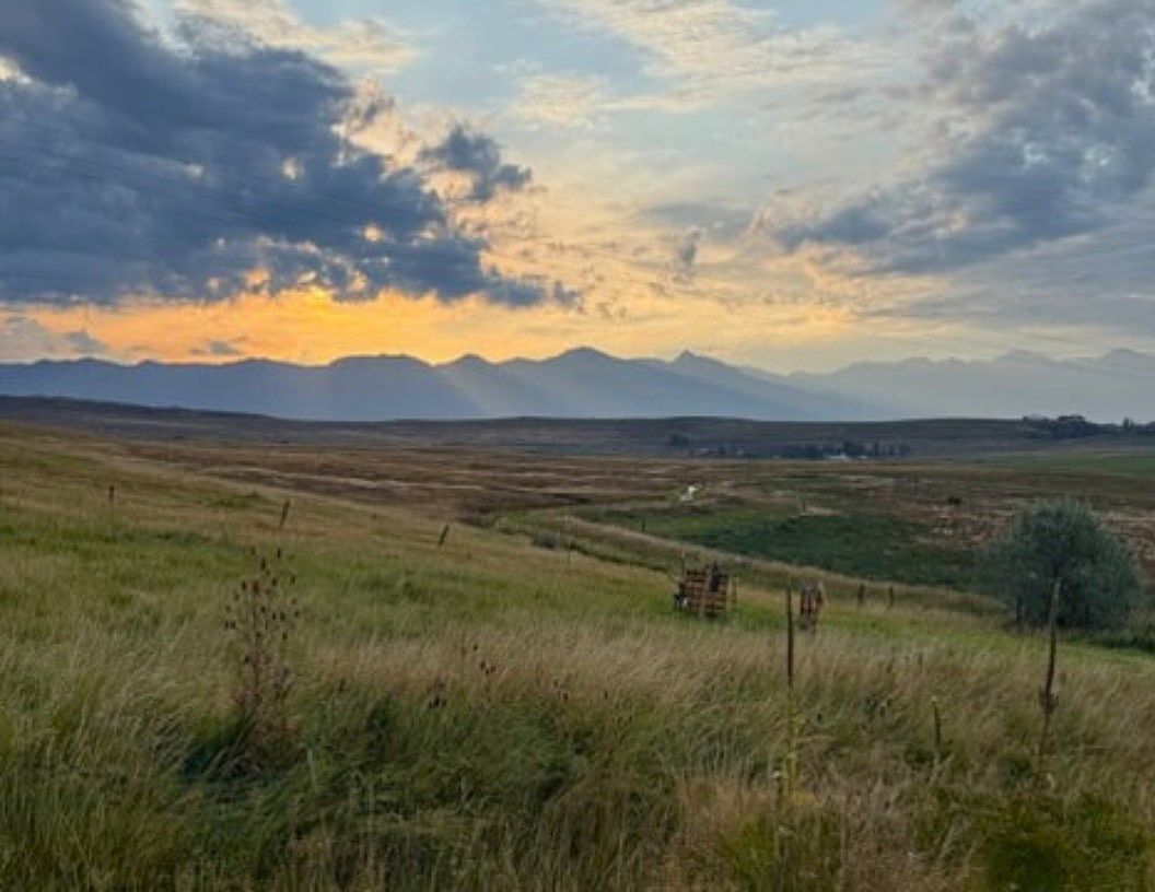 Nhn Eli Gap Rd Polson, MT 59860 | Land/Lot