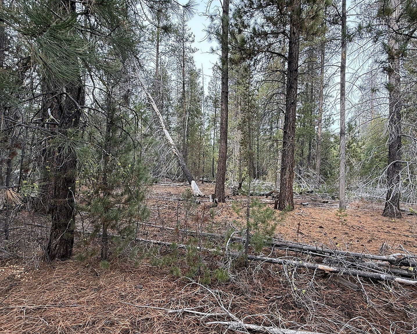0 National Forest Rd #7646 Chiloquin, OR 97624  | Land/Lot