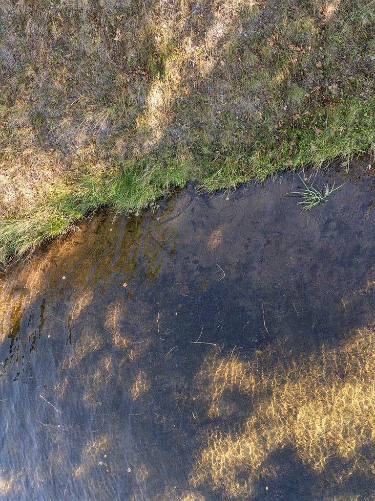 37639 Forest Lodge Rd Crosslake, MN 56442  | Land/Lot