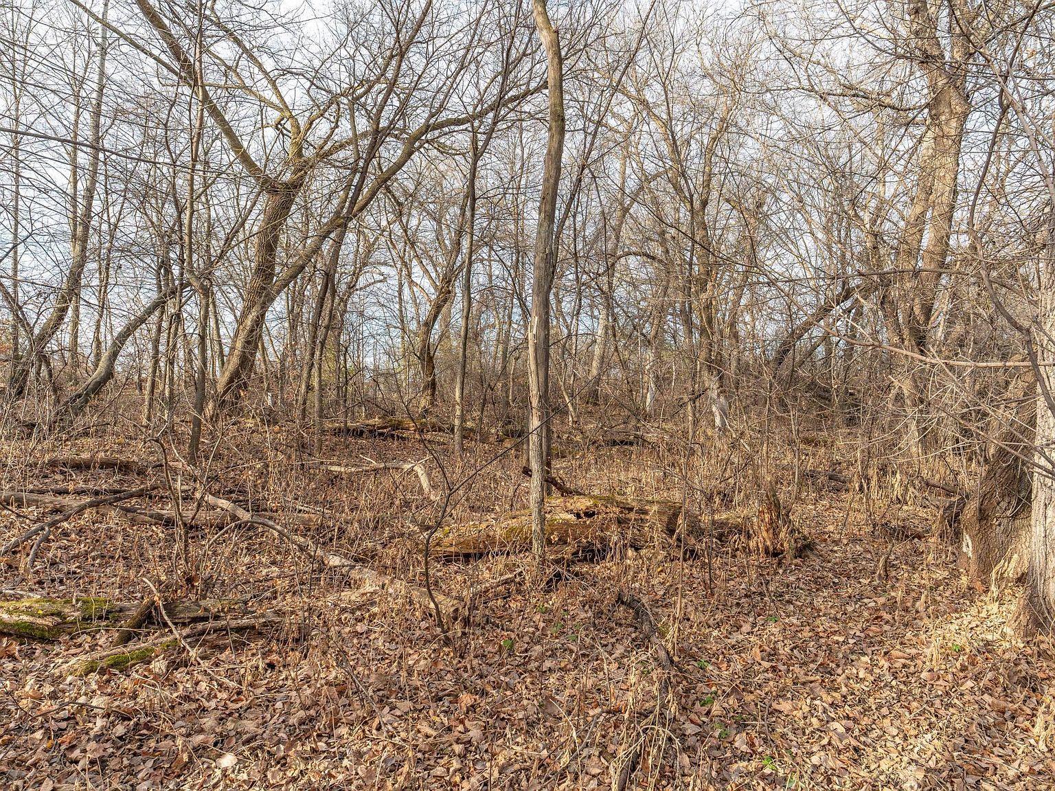 280th Ave Underwood, MN 56586  | Land/Lot