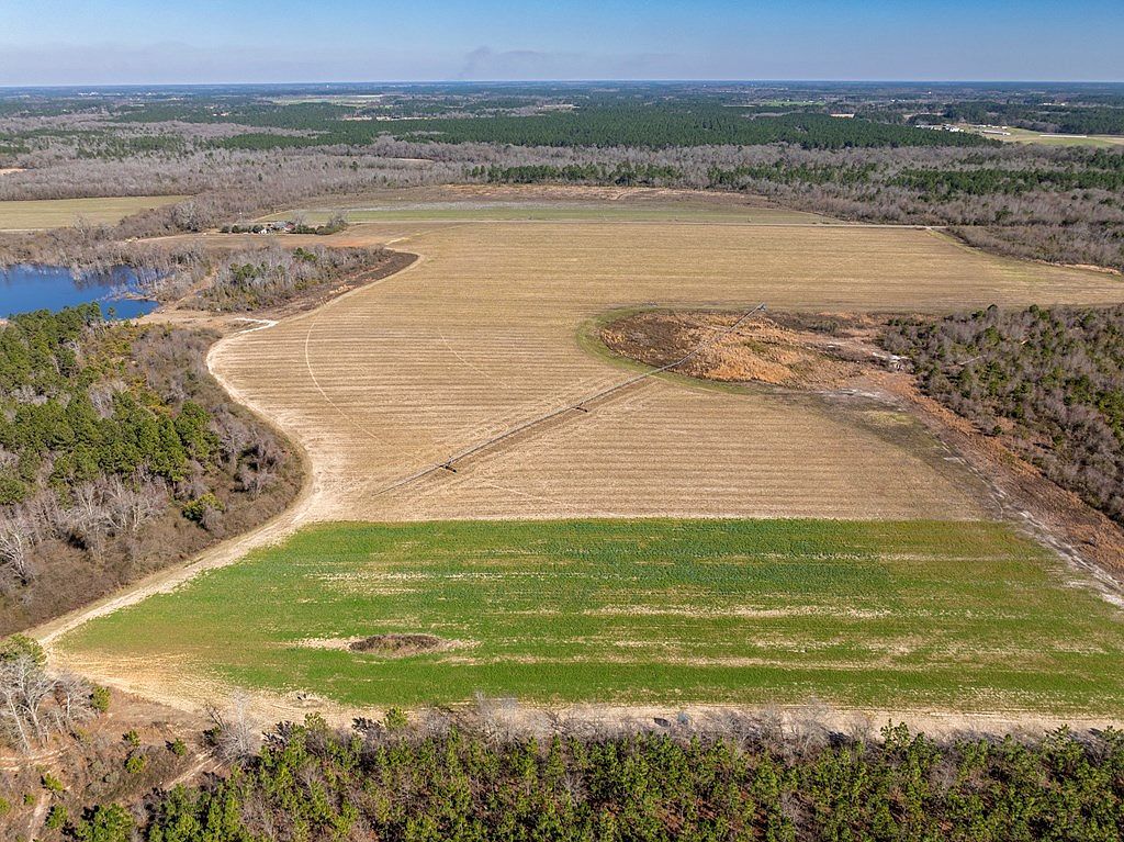 720 Vanceville County Line Rd Tifton, GA 31794 | Land/Lot