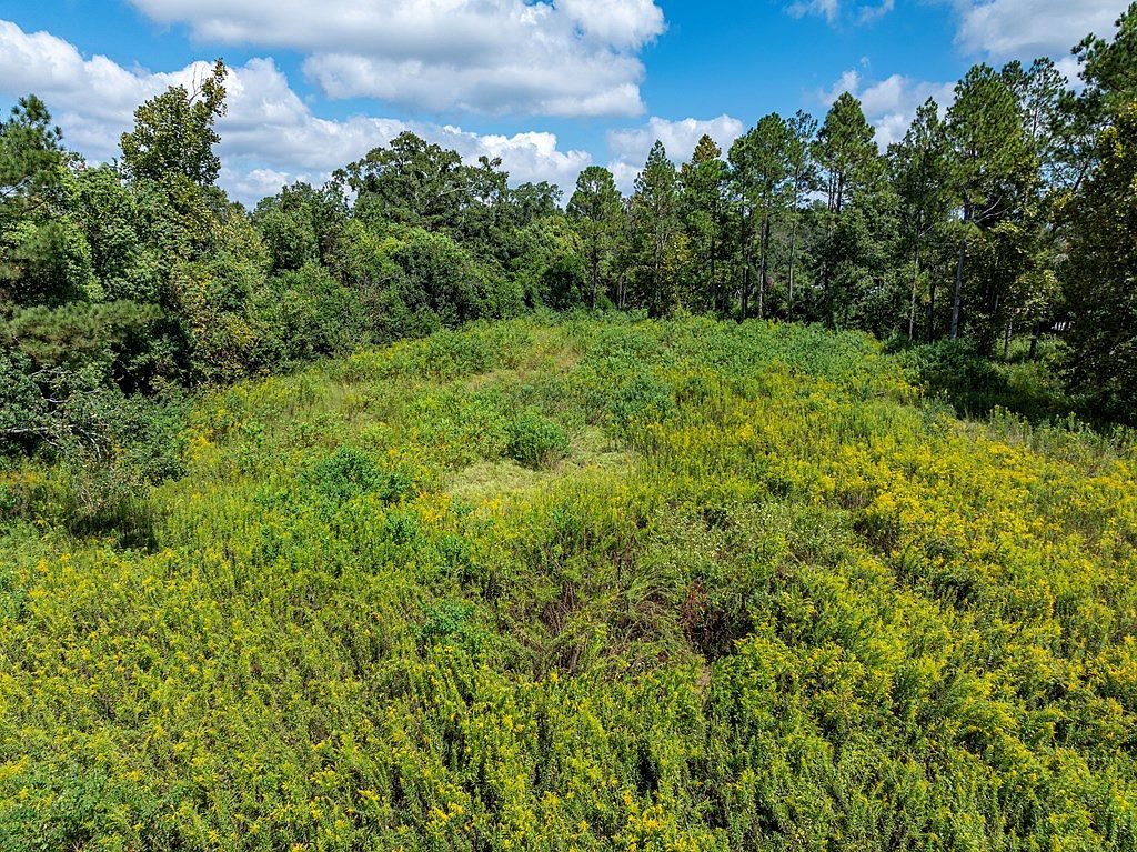 0 E Stanfill St Hahira, GA 31632 | Land/Lot