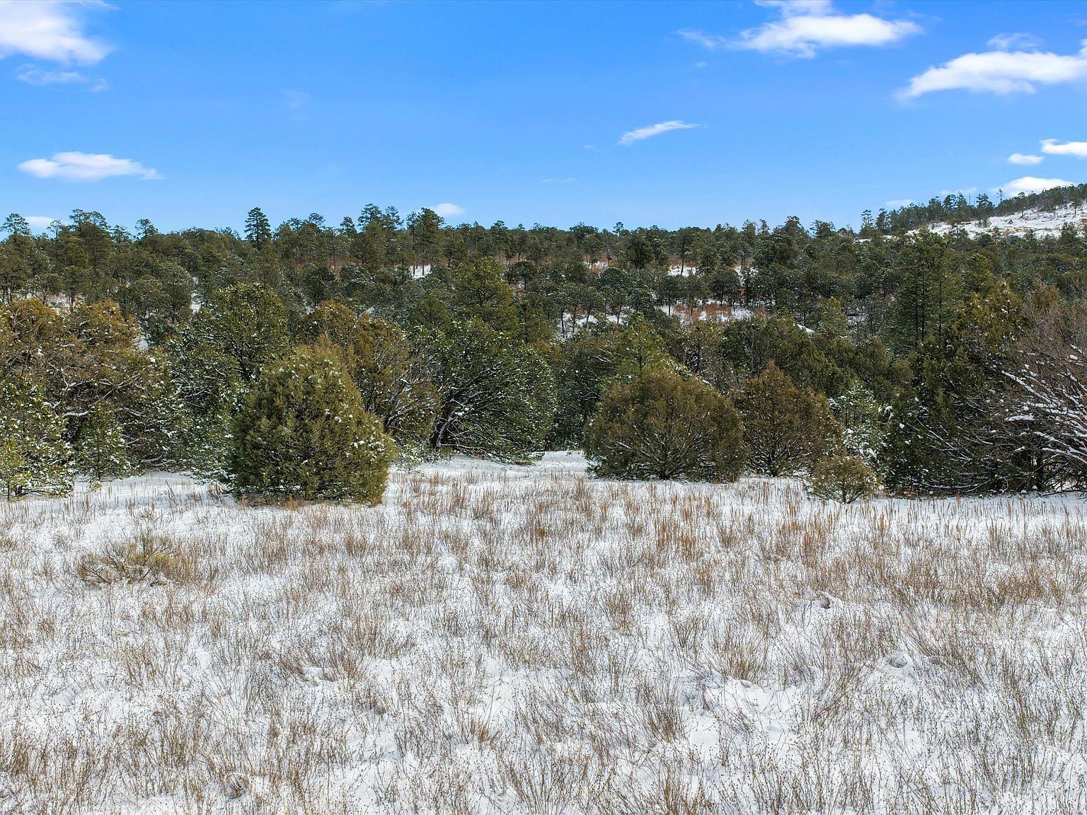 12 Moots Ct Tijeras, NM 87059  | Land/Lot