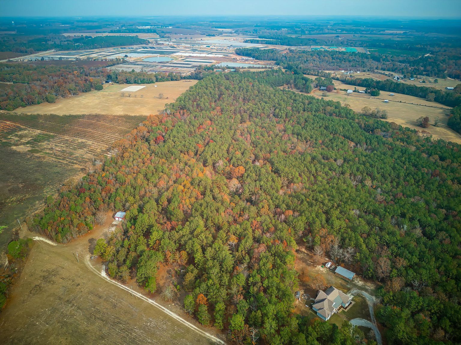 0 Windy Ridge Rd Trenton, SC 29847 | Land/Lot