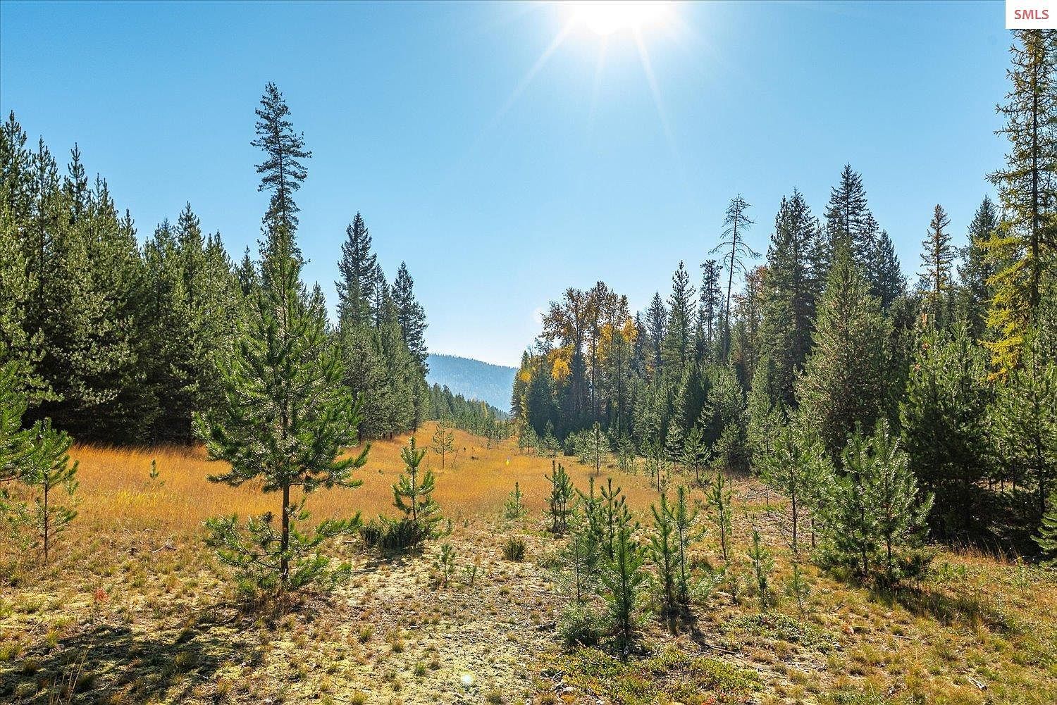 Nka N Moyie River Road Tract 2 And #3, Bonners Ferry, ID, 83805  | Land/Lot