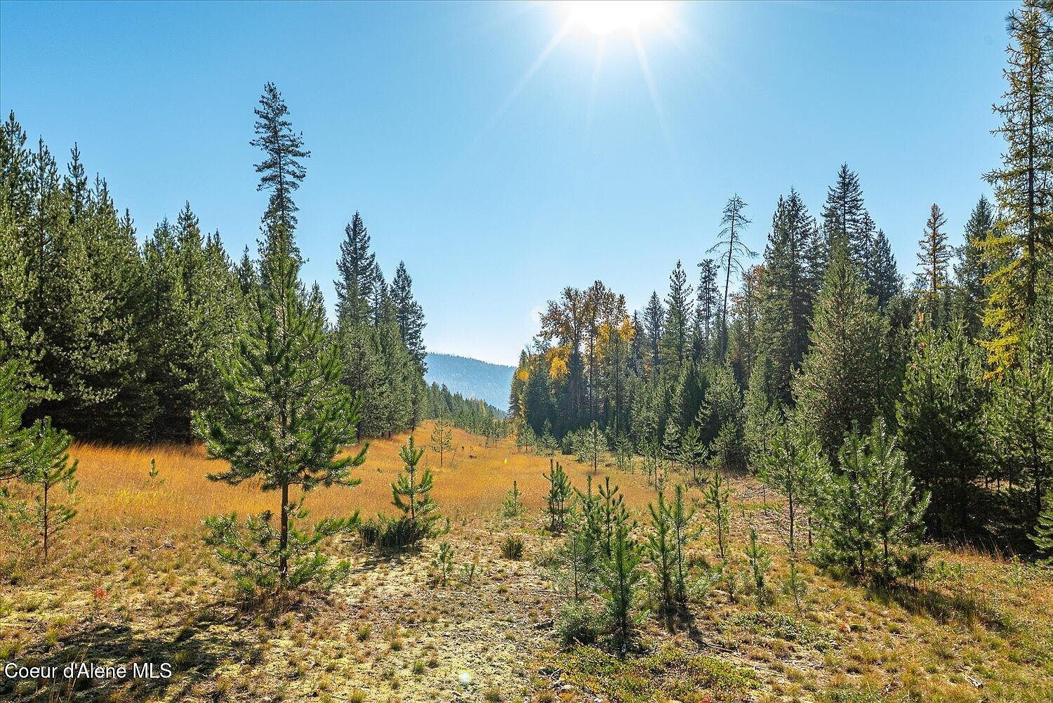 Nna N Moyie River Rd LOT 3 Bonners Ferry, ID 83805 | Land/Lot