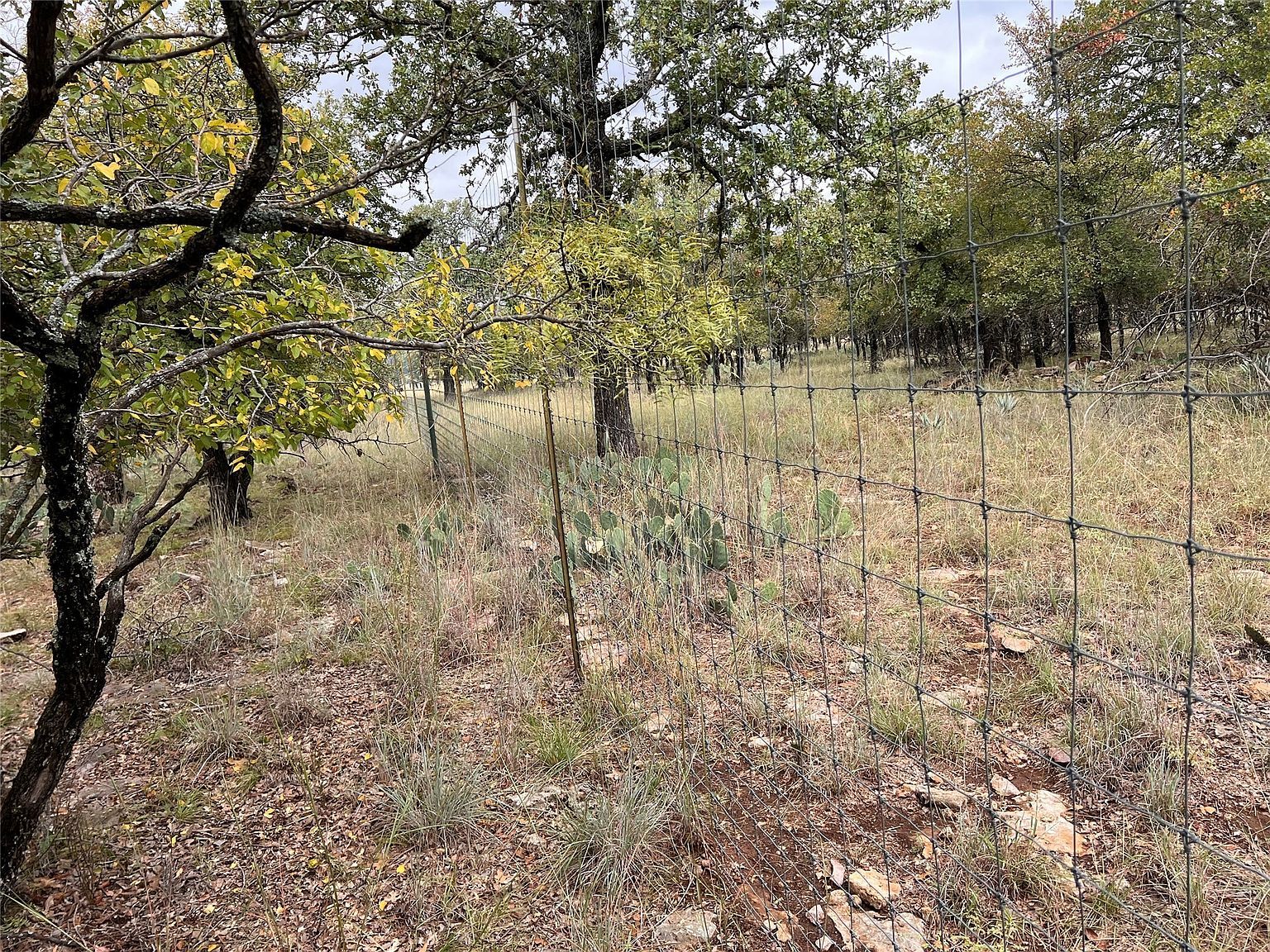 586 Oak Point Dr May, TX 76857 | Land/Lot