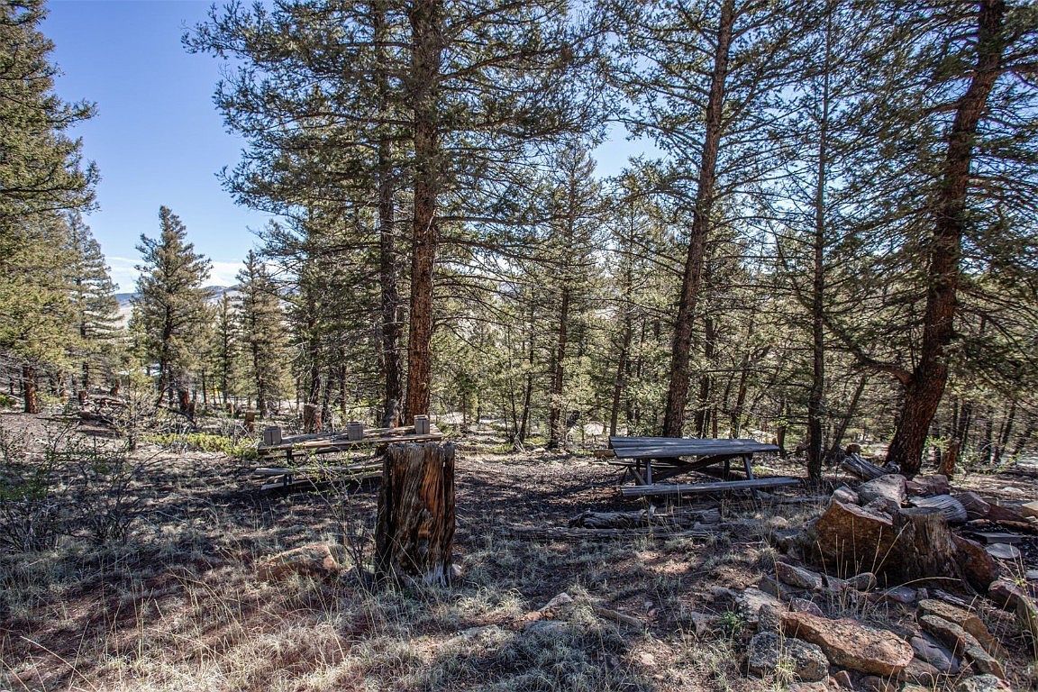 1787 Redhill Rd Fairplay, CO 80440 | Land/Lot