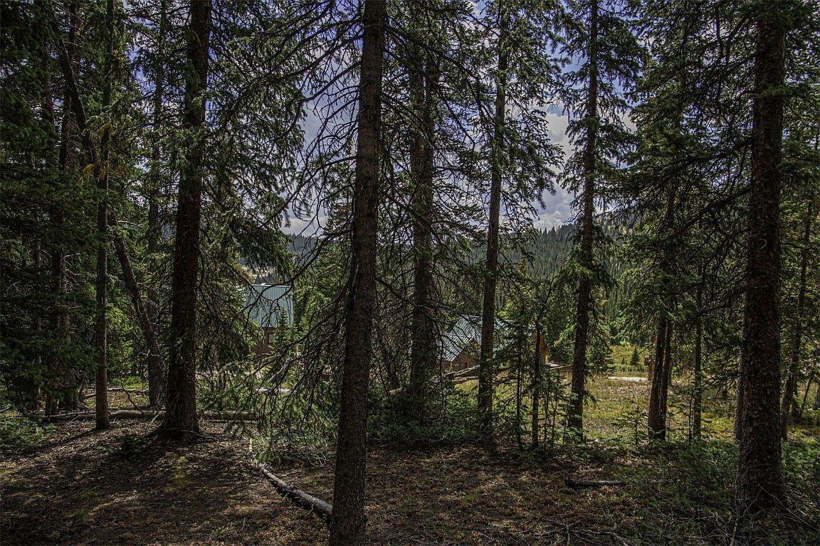 233 Camron Ln Breckenridge, CO 80424  | Land/Lot