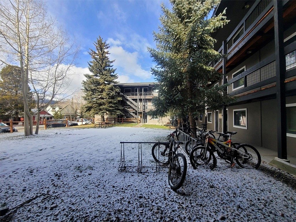 214 S Harris St #101 Breckenridge, CO 80424  | Condominium