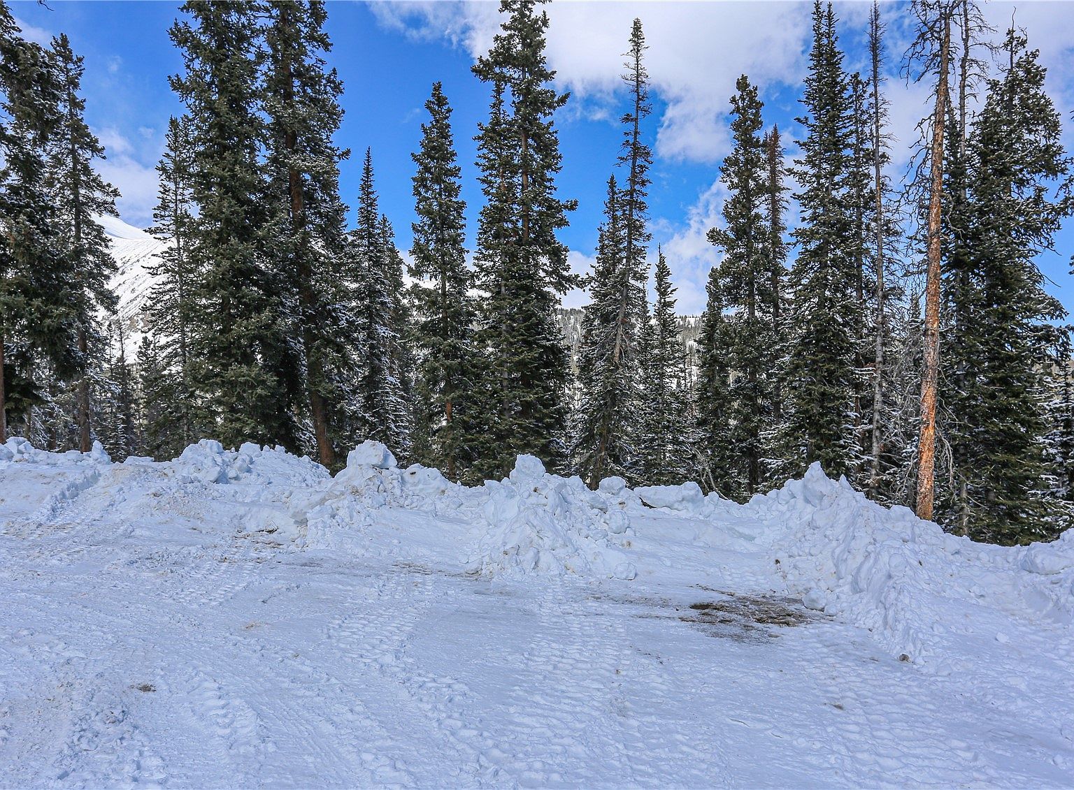 450 Quandary View Dr Breckenridge, CO 80424  | Land/Lot