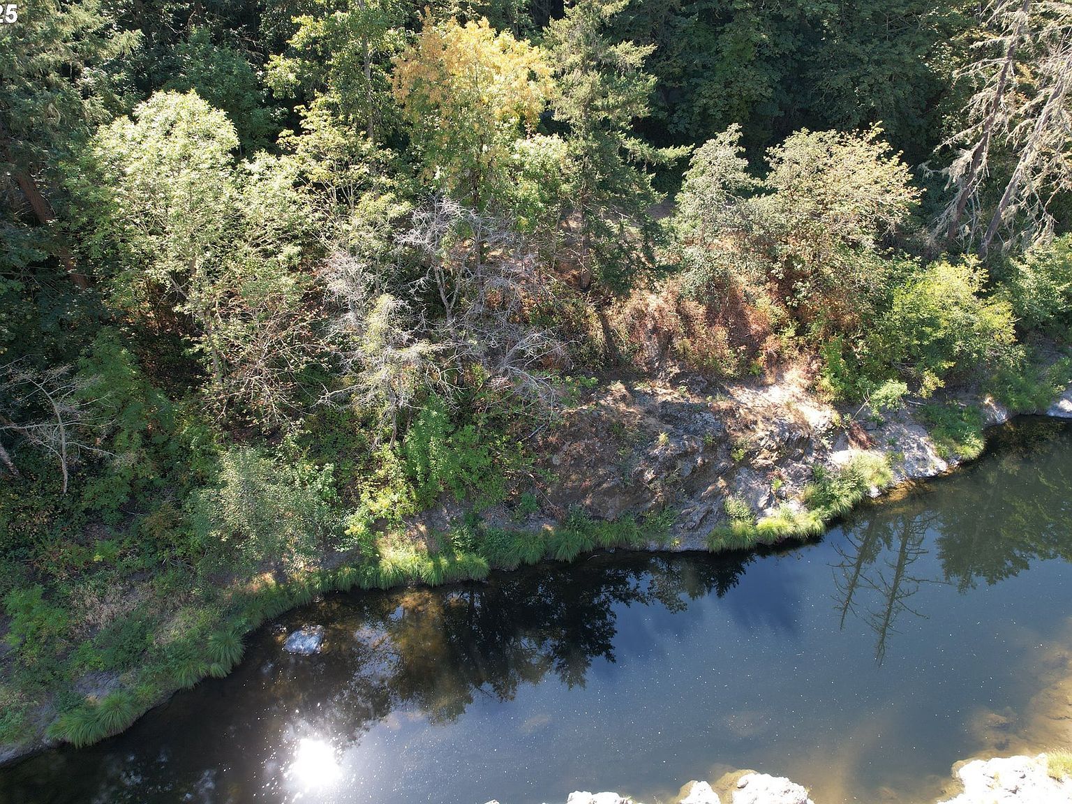 750 Ferguson Ln Days Creek, OR 97429  | Land/Lot