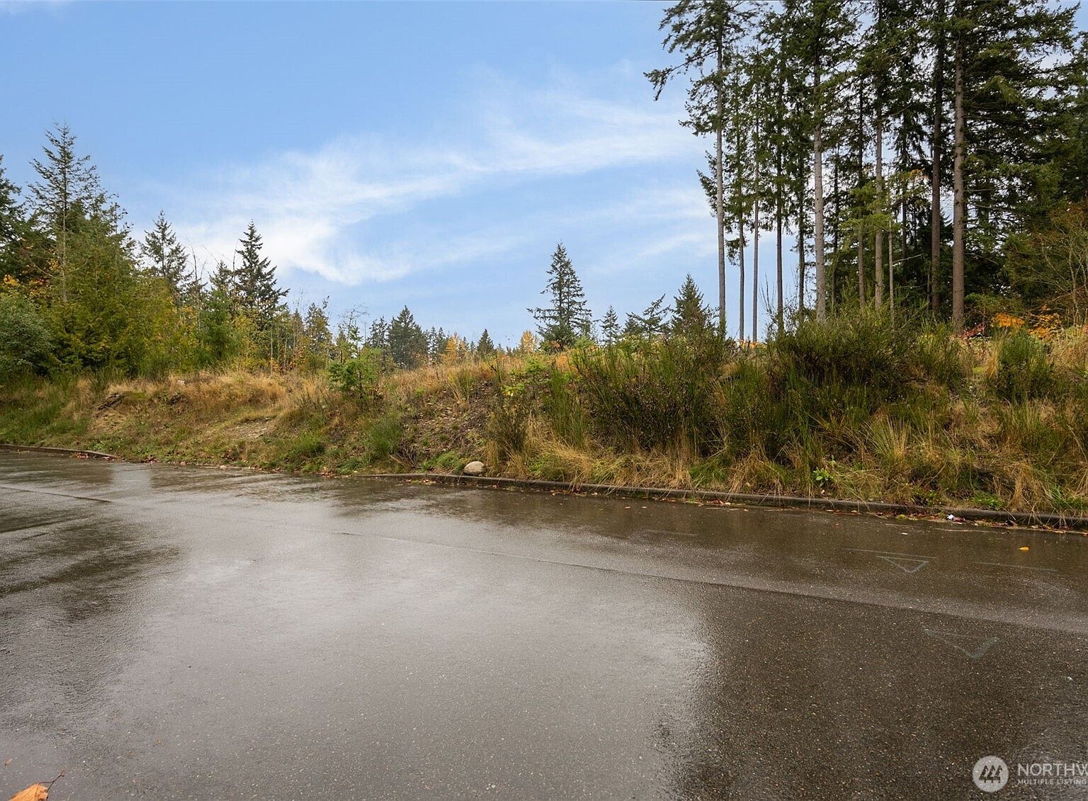 0 Xx 184th Ave E Bonney Lake, WA 98391  | Land/Lot