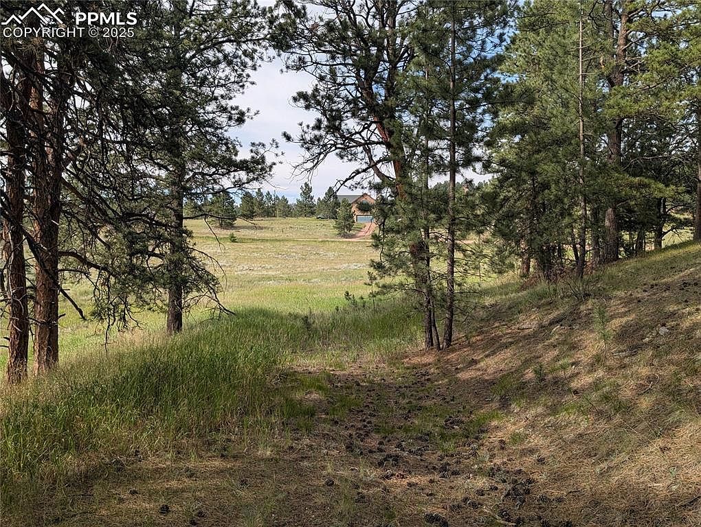 1379 S Mountain Estates Rd Florissant, CO 80816 | Land/Lot