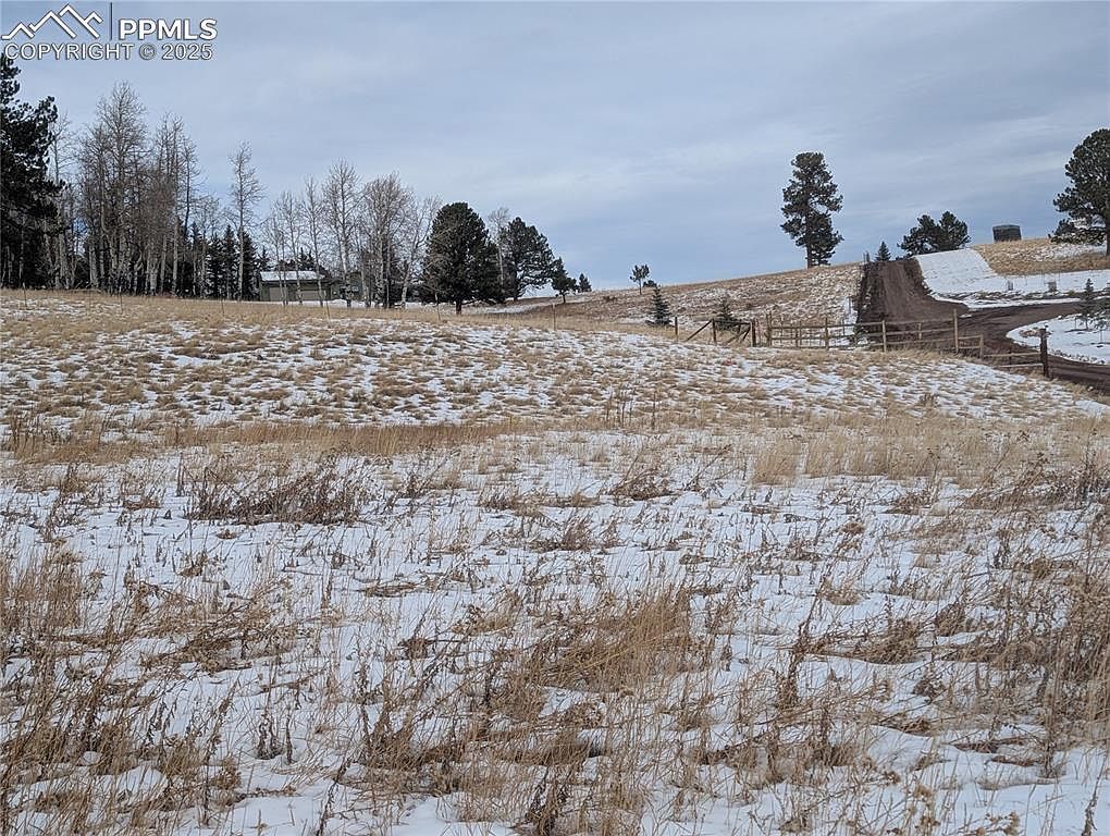 307 Pinaceae Hts Divide, CO 80814 | Land/Lot