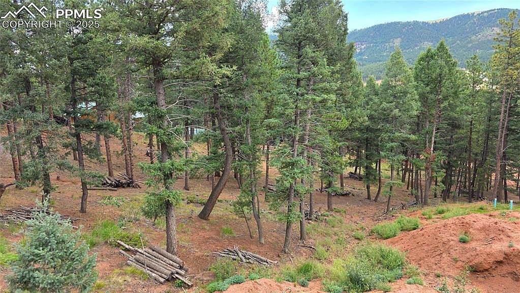 370 Summer Haven Dr Woodland Park, CO 80863  | Land/Lot